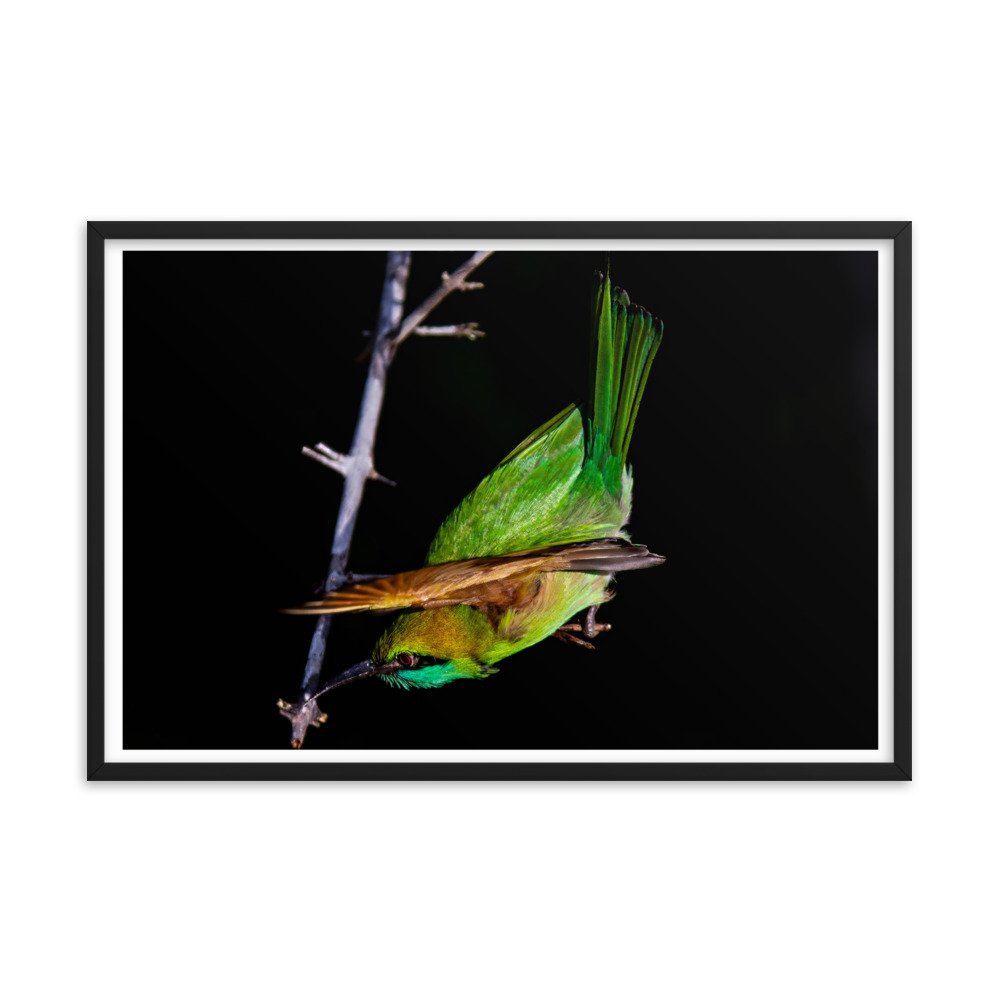 enhanced-matte-paper-framed-poster-(in)-black-24x36-transparent-65bfdecf30a6e.jpg