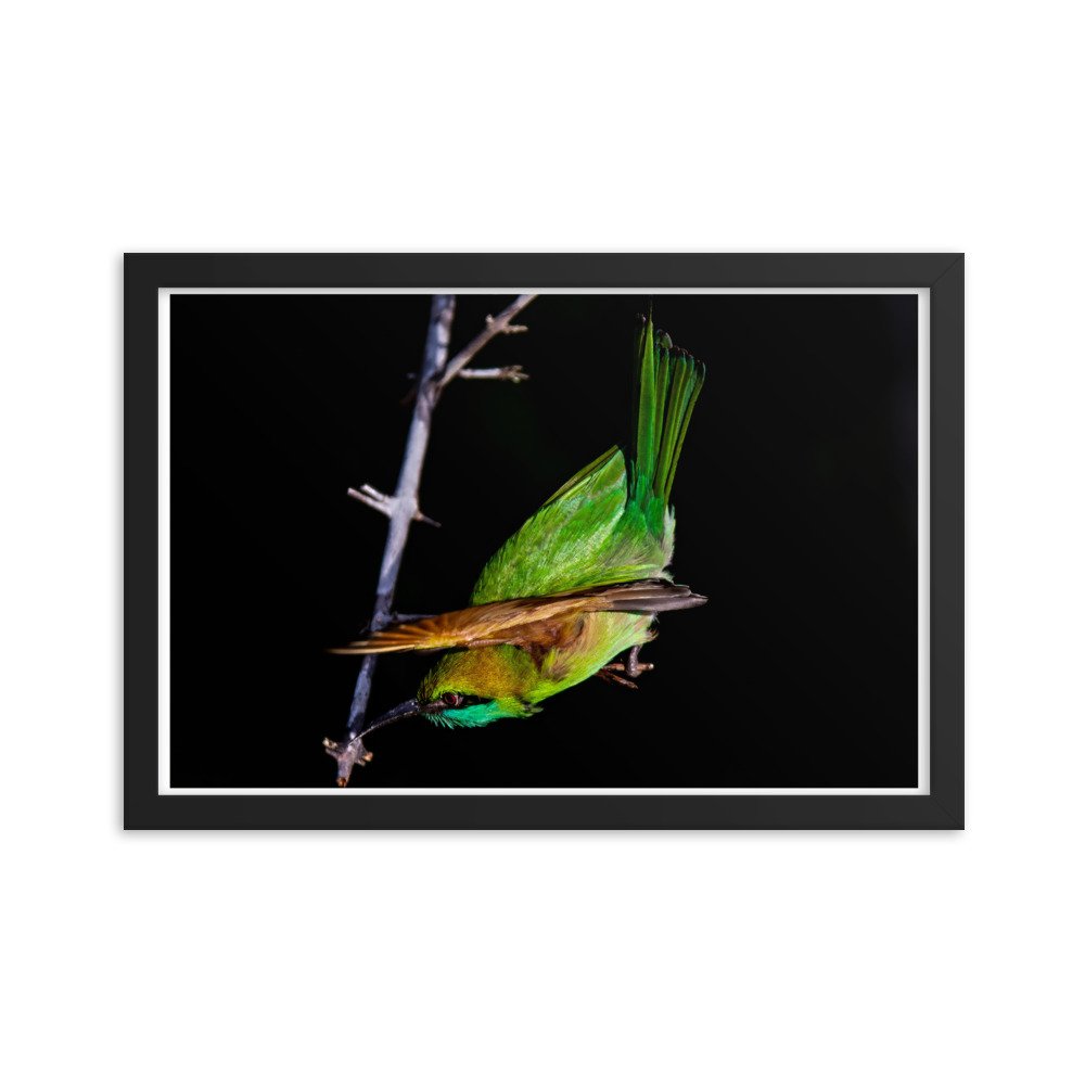 enhanced-matte-paper-framed-poster-(in)-black-12x18-transparent-65bfdecf31795.jpg