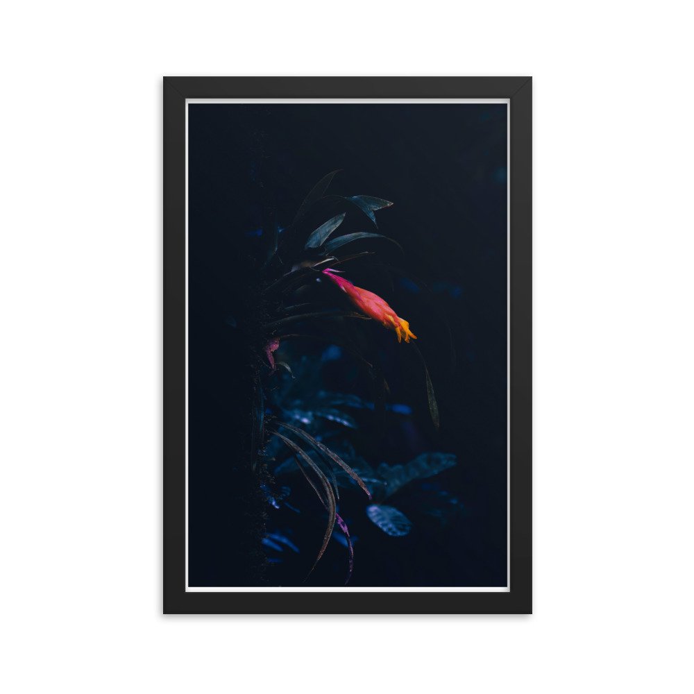 enhanced-matte-paper-framed-poster-(in)-black-12x18-transparent-65bff7bdefa8c.jpg