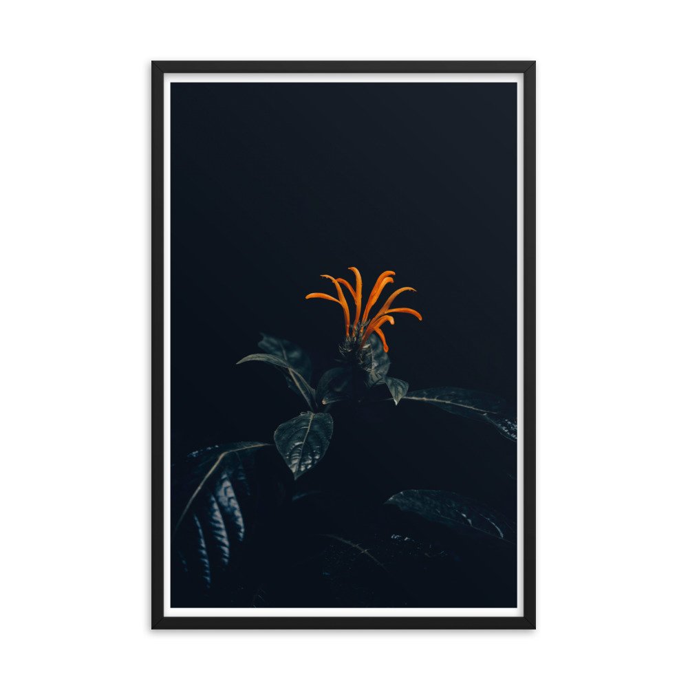 enhanced-matte-paper-framed-poster-(in)-black-24x36-transparent-65bff81ec6ee4.jpg