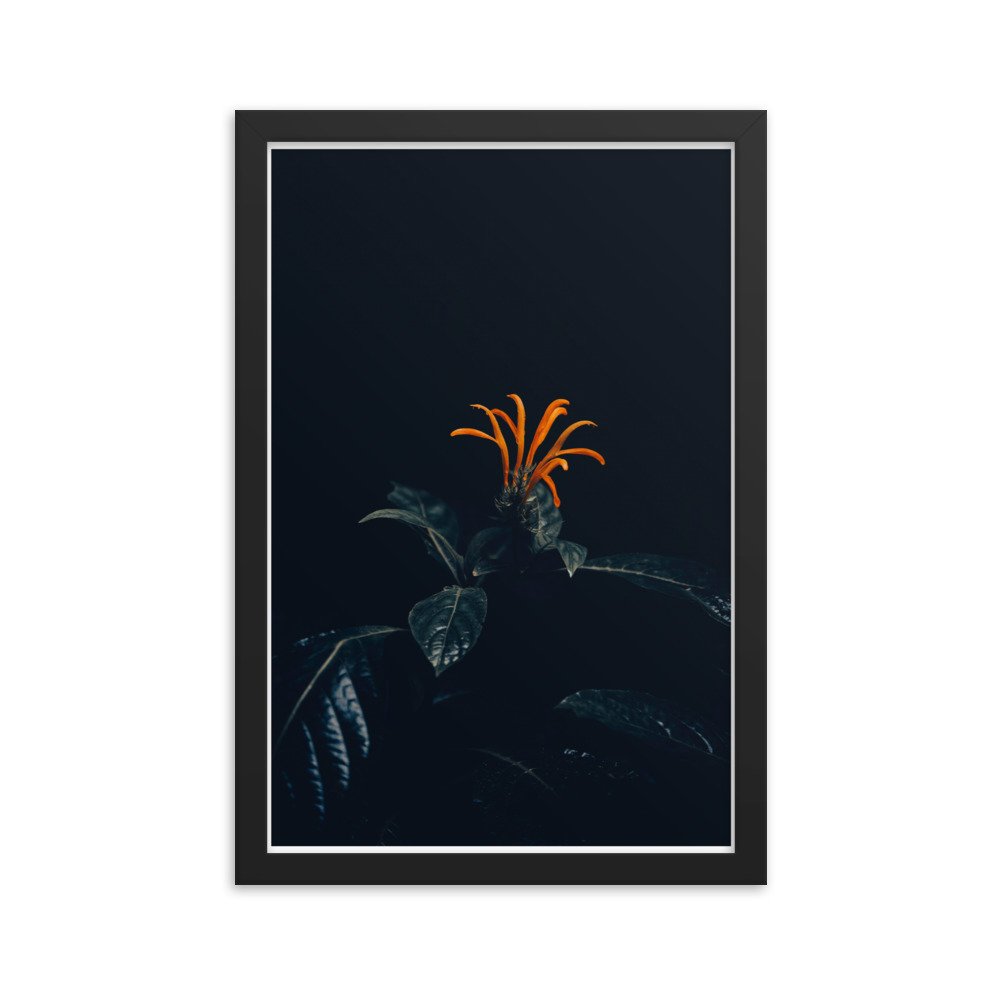 enhanced-matte-paper-framed-poster-(in)-black-12x18-transparent-65bff81ec7bad.jpg
