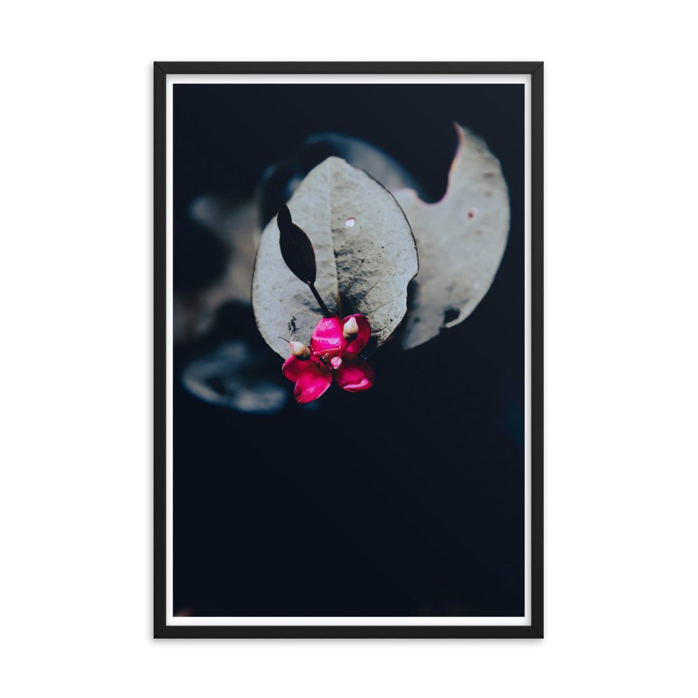 enhanced-matte-paper-framed-poster-(in)-black-24x36-transparent-65bff87b53f75.jpg