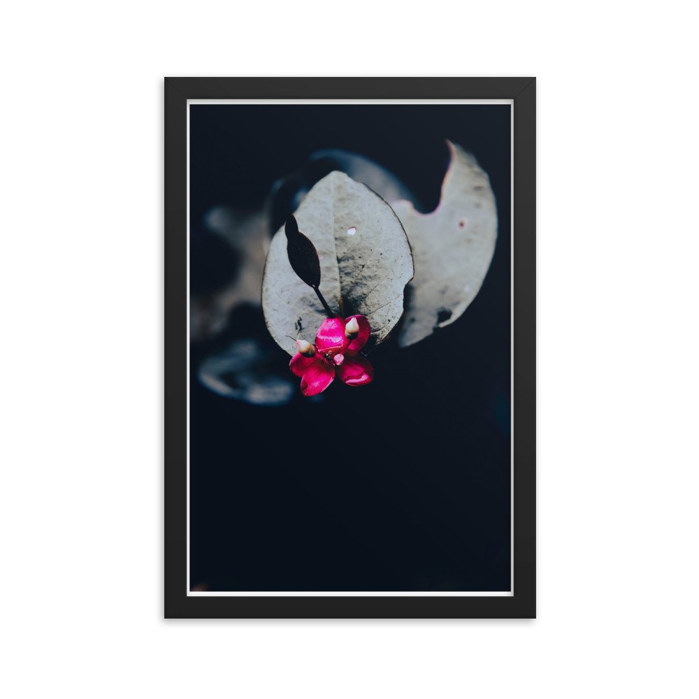 enhanced-matte-paper-framed-poster-(in)-black-12x18-transparent-65bff87b54d9e.jpg