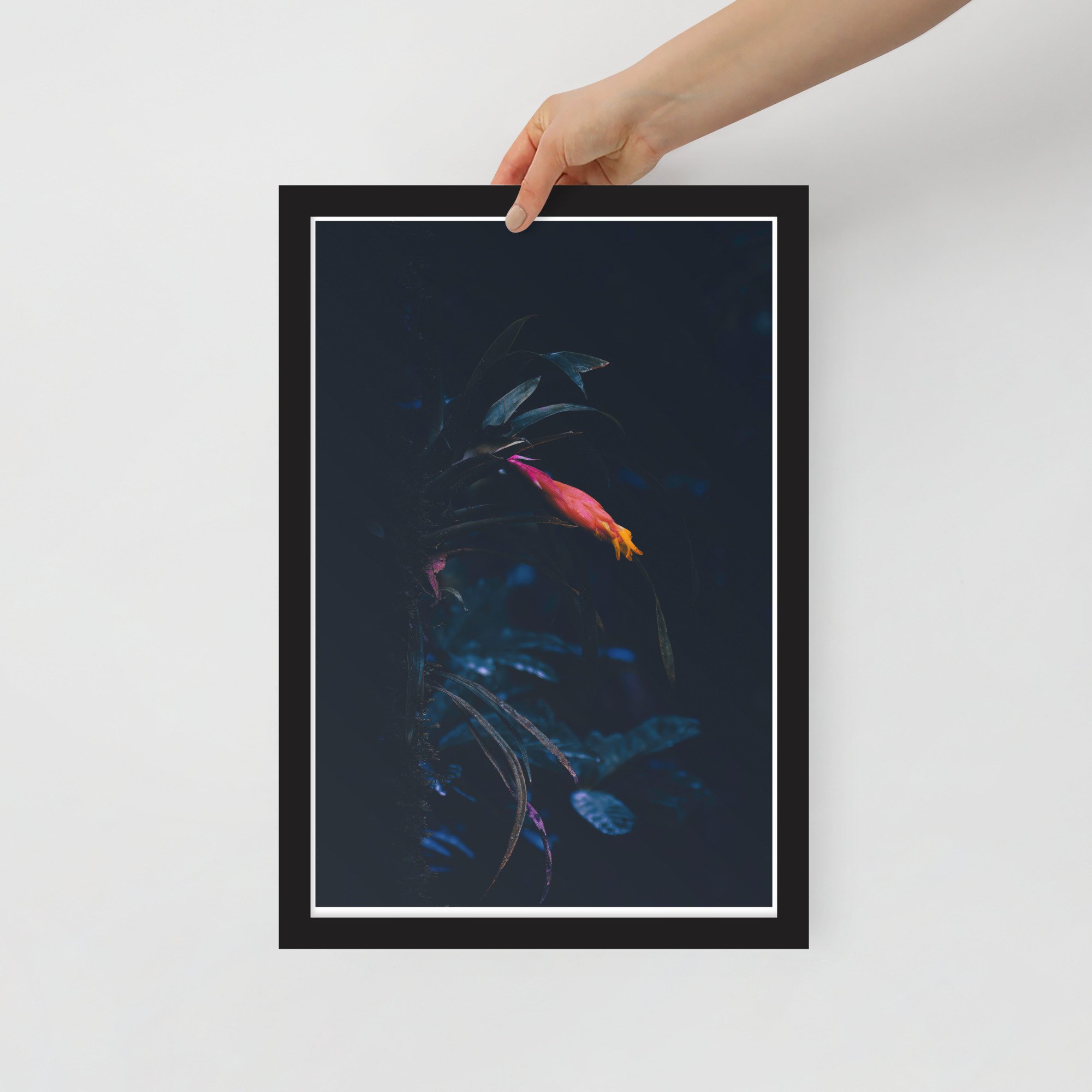 1-4 enhanced-matte-paper-framed-poster-(in)-black-12x18-front-65bff8ef35c60.jpg