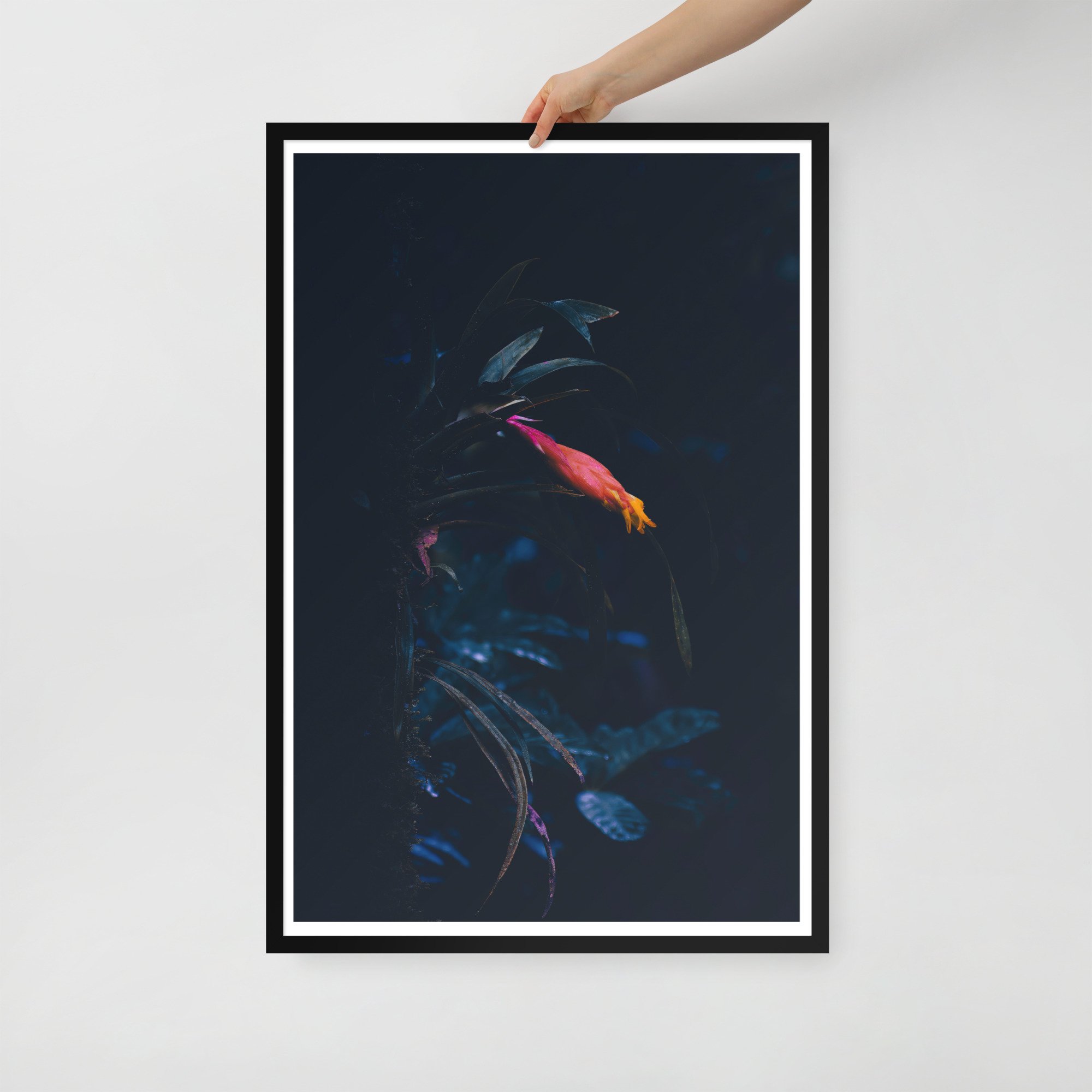 2-4 enhanced-matte-paper-framed-poster-(in)-black-24x36-front-65bff8ef35dd9.jpg