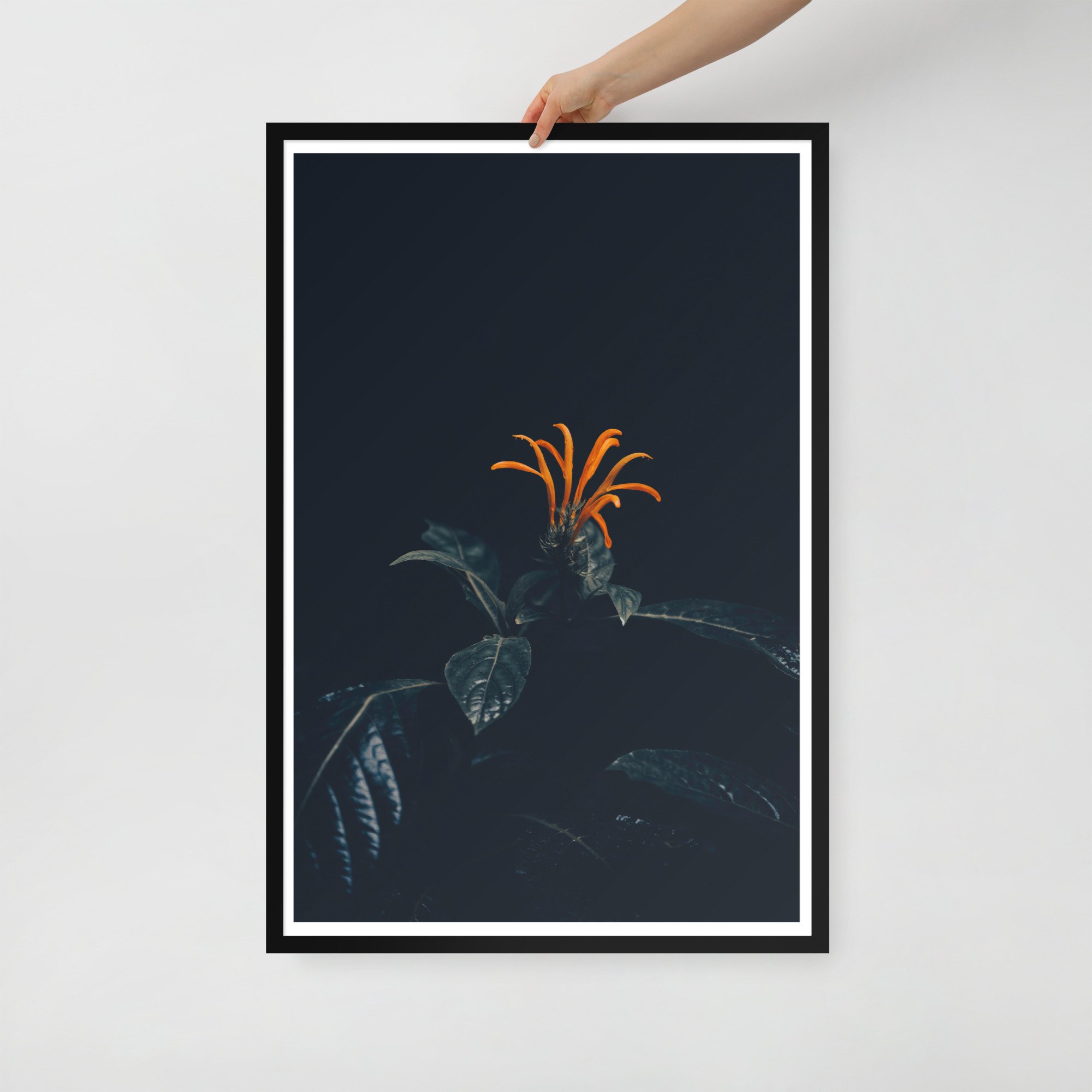 2-4 enhanced-matte-paper-framed-poster-(in)-black-24x36-front-65bff9598f8eb.jpg