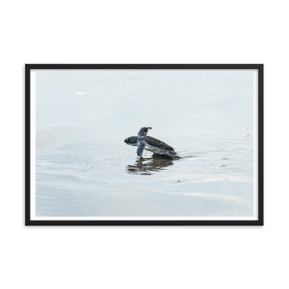 enhanced-matte-paper-framed-poster-(in)-black-24x36-transparent-65d2145bced52.jpg