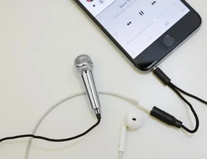 mini microphone.jpg