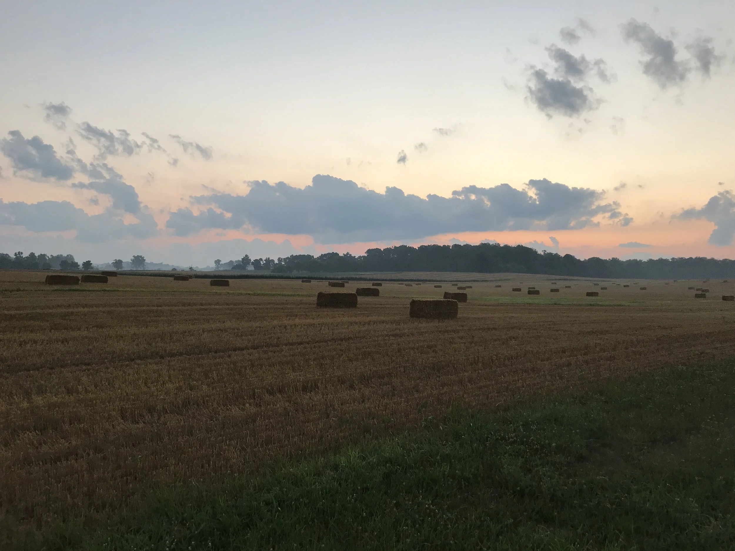 2018-07-10 06.04.18.jpg