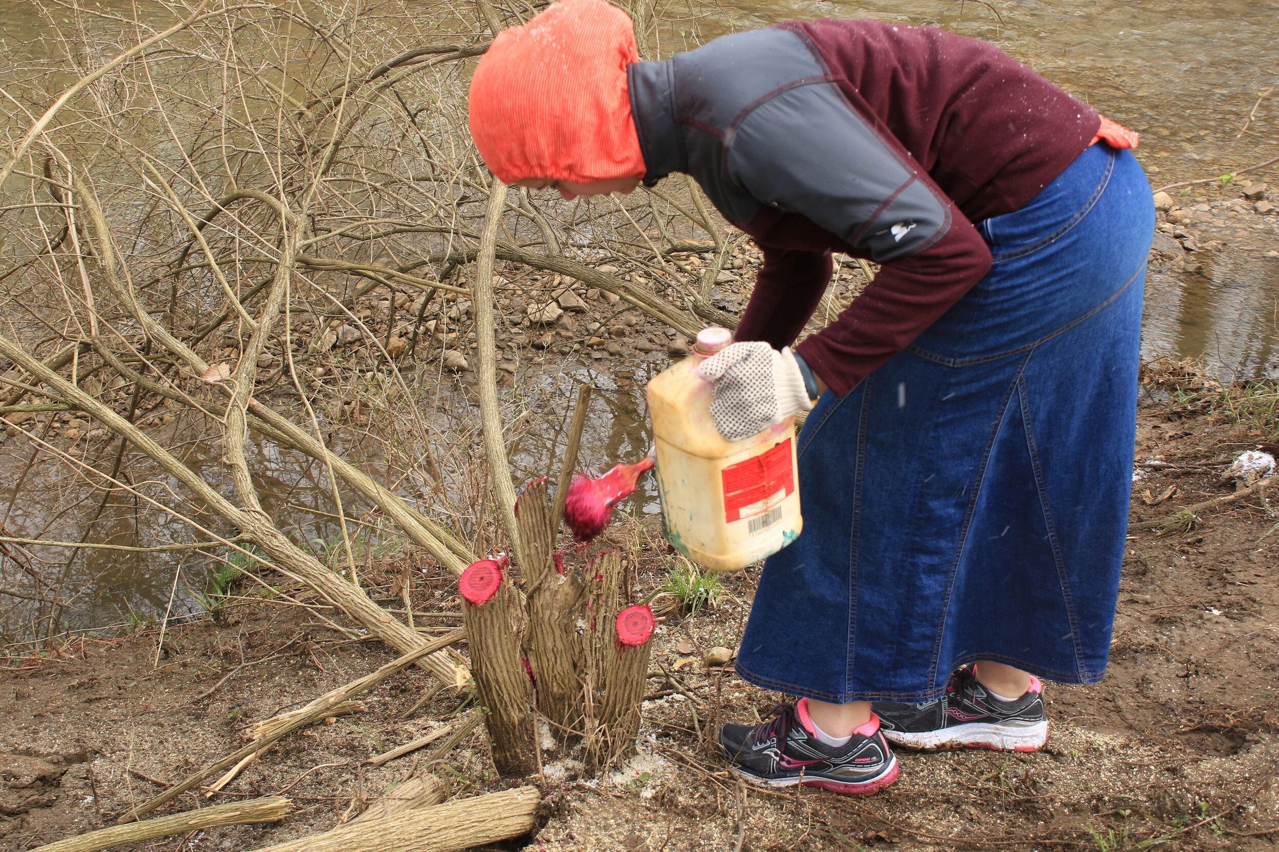 42018 Environmental Youth — Logan County Land Trust