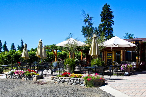 Marchesi Vineyards and Winery