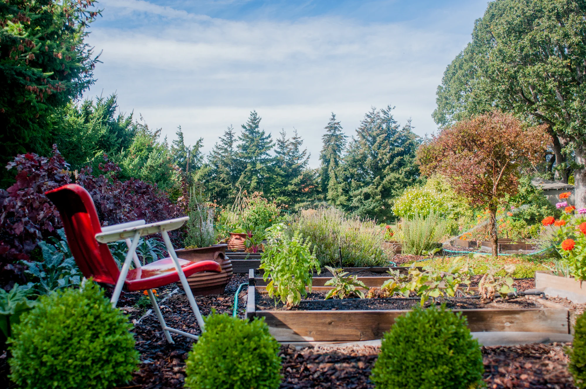 seven_oaks_garden_red_chair.jpg