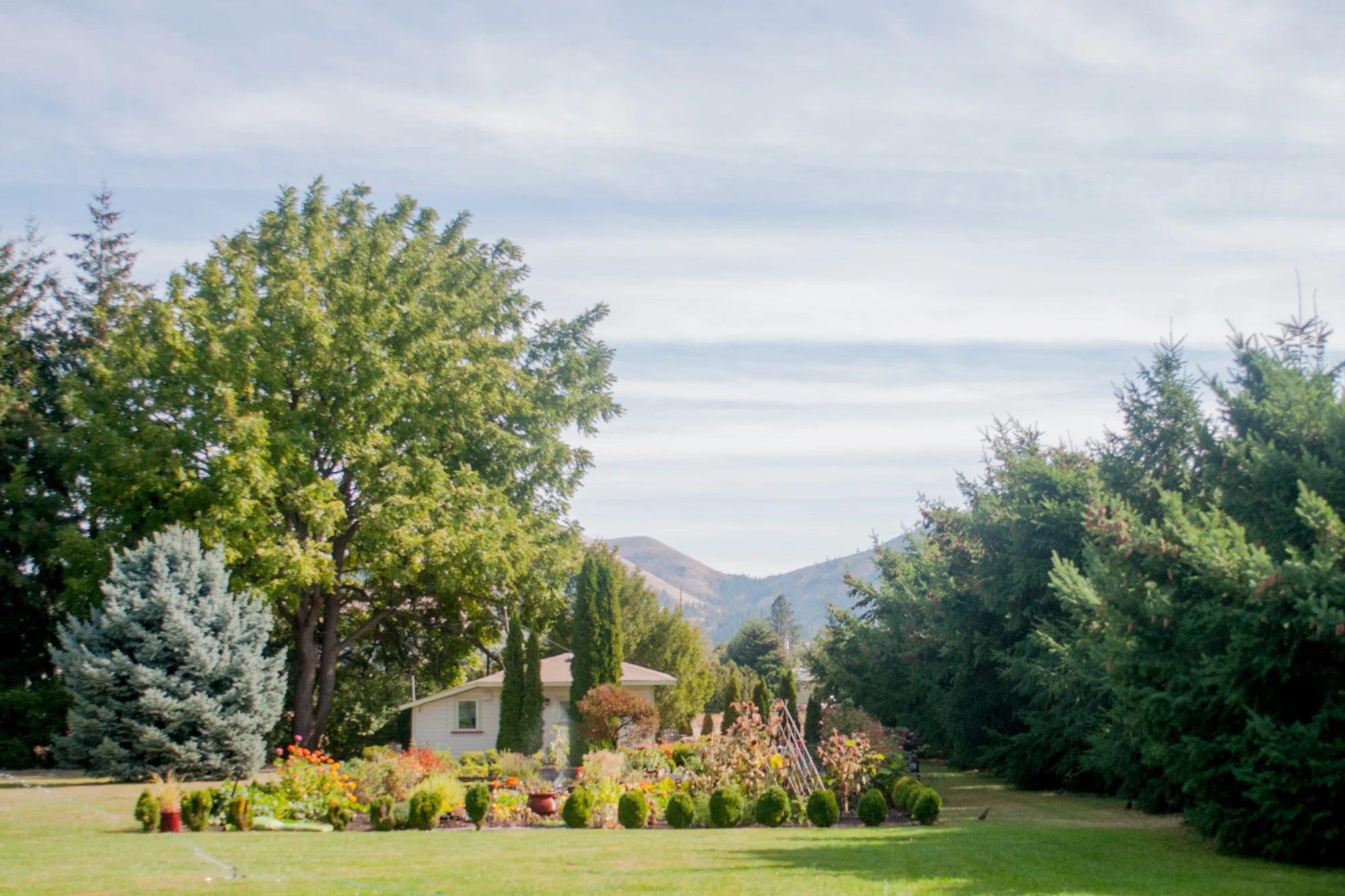 seven_oaks_garden_cottage.jpg