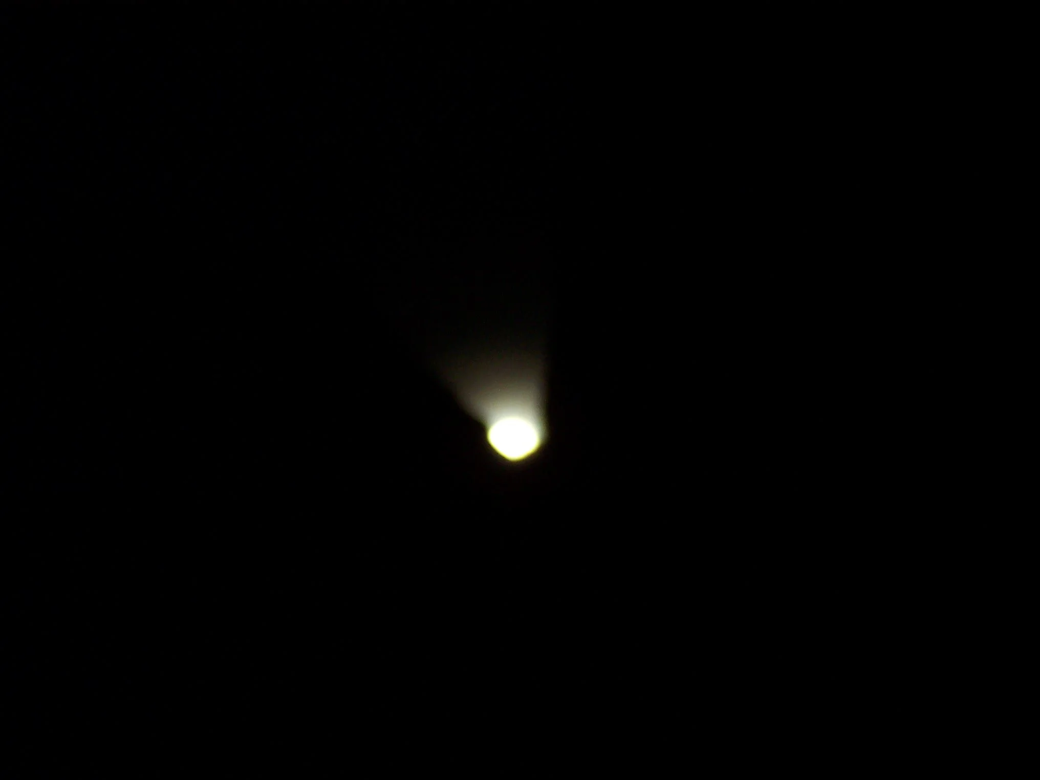 0301_GC_MLandram_00236.JPG