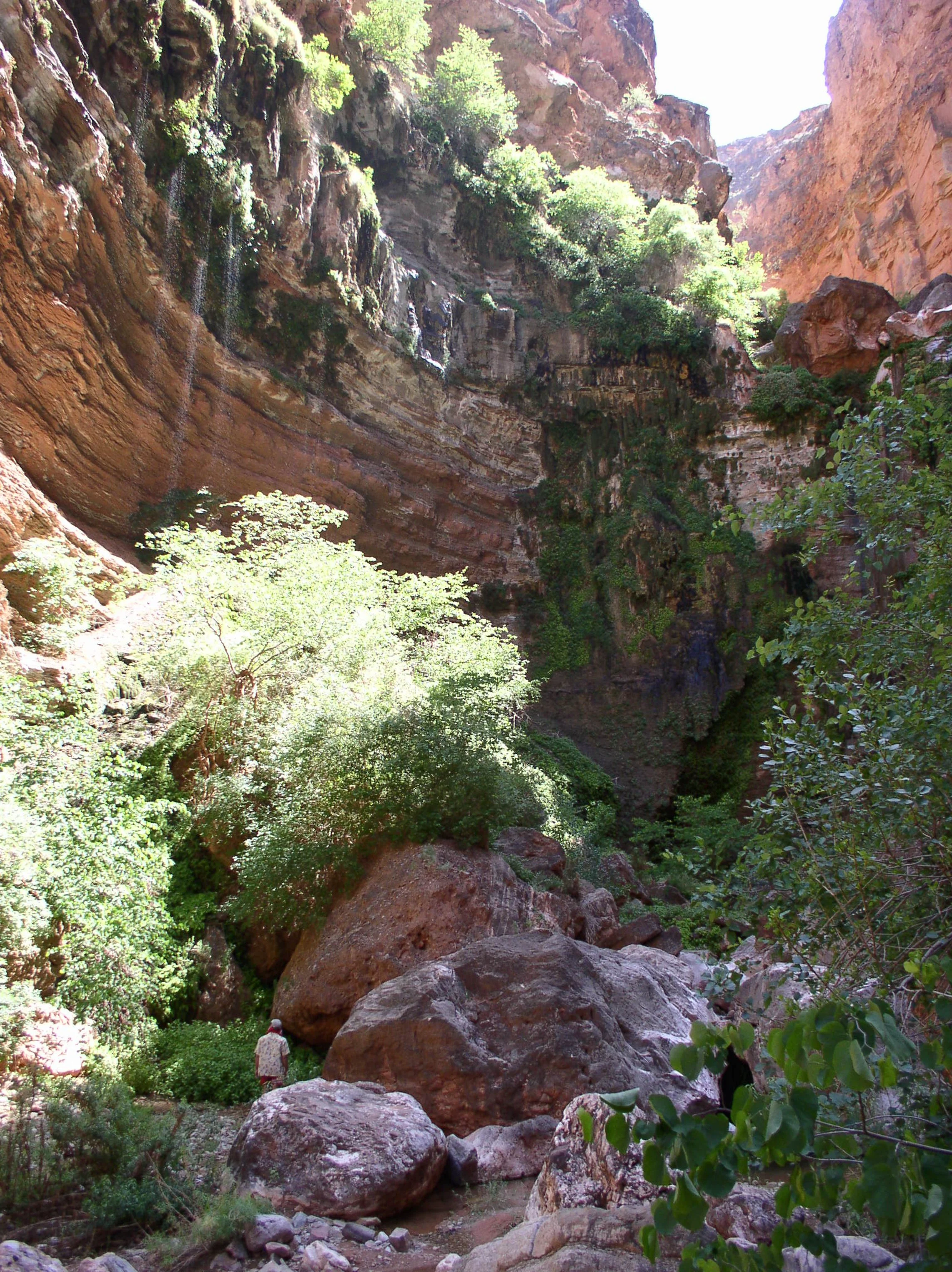 0605_GC_Pat_00074.JPG