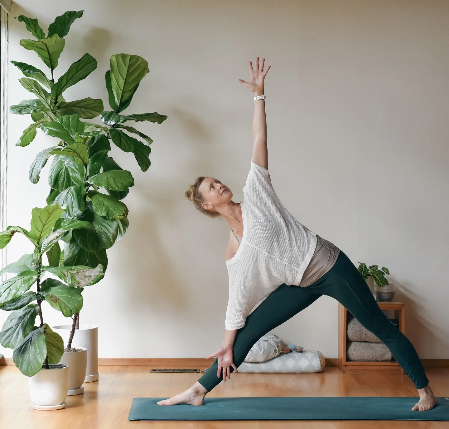 The beauty of practicing online?&nbsp;

&bull; Showing up in your pajamas
&bull;&nbsp;Taking your practice on the road
&bull;&nbsp;Bringing your furry friends with you
&bull;&nbsp;No commuting + no parking
&bull;&nbsp;A lovely group of humans to conn