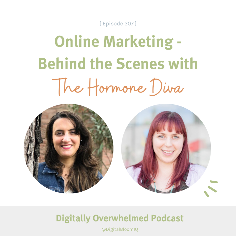 Online Marketing - Behind the scenes The Hormone Diva Digital Bloom IQ
