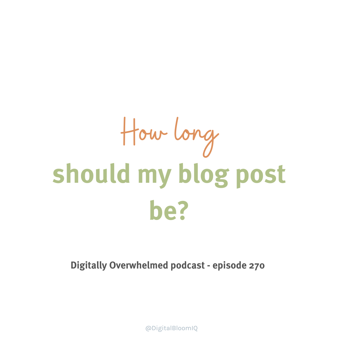 SEO Agency For Small Businesses Digital Bloom IQ seo-agency-for-small-businesses-digital-bloom-iq