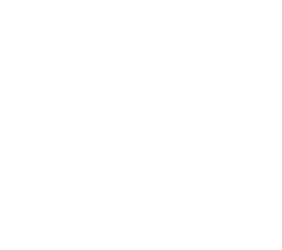 Guided Motion