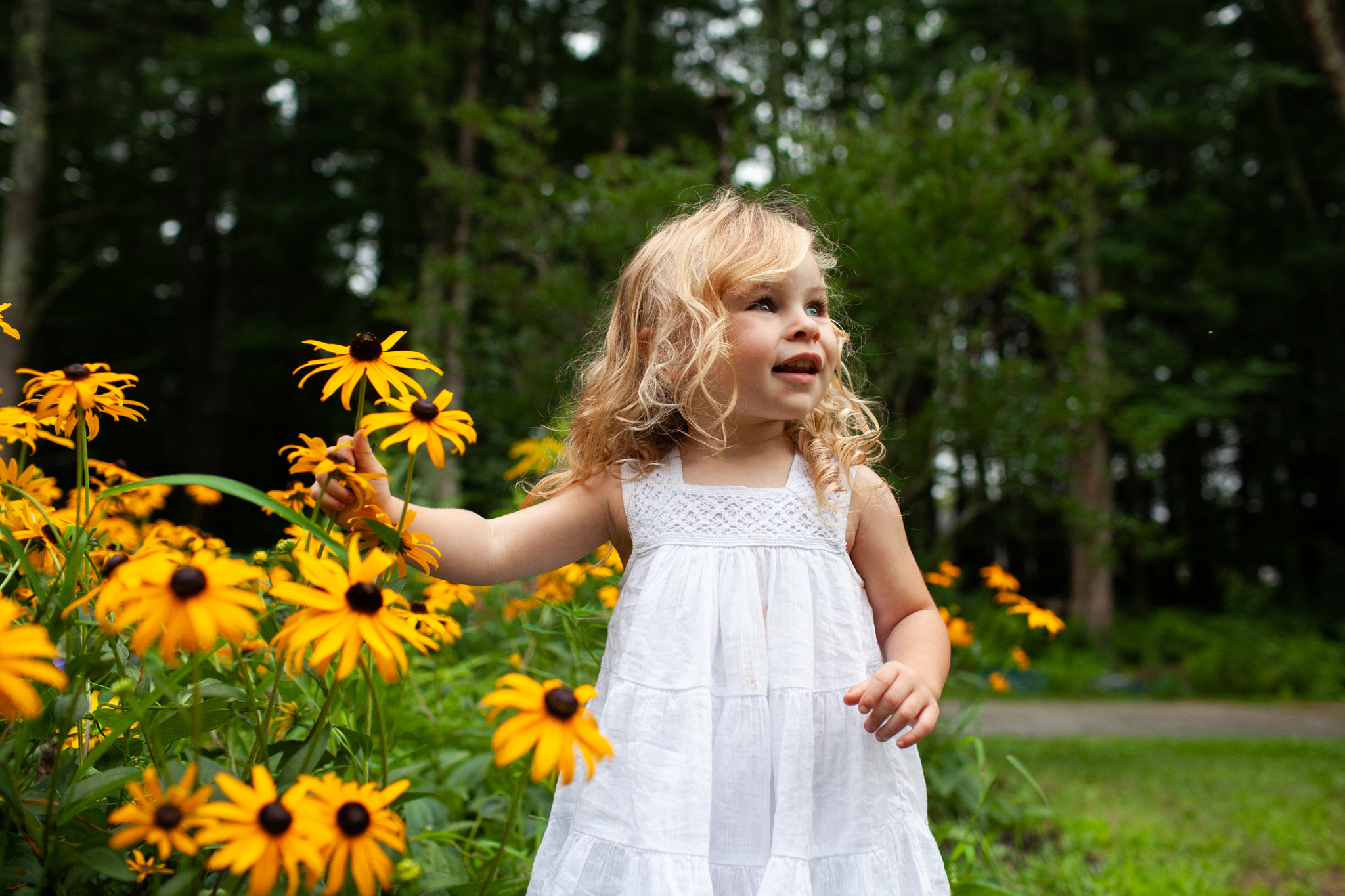 maine-family-photographer-stepheneycollinsphotography-1.jpg