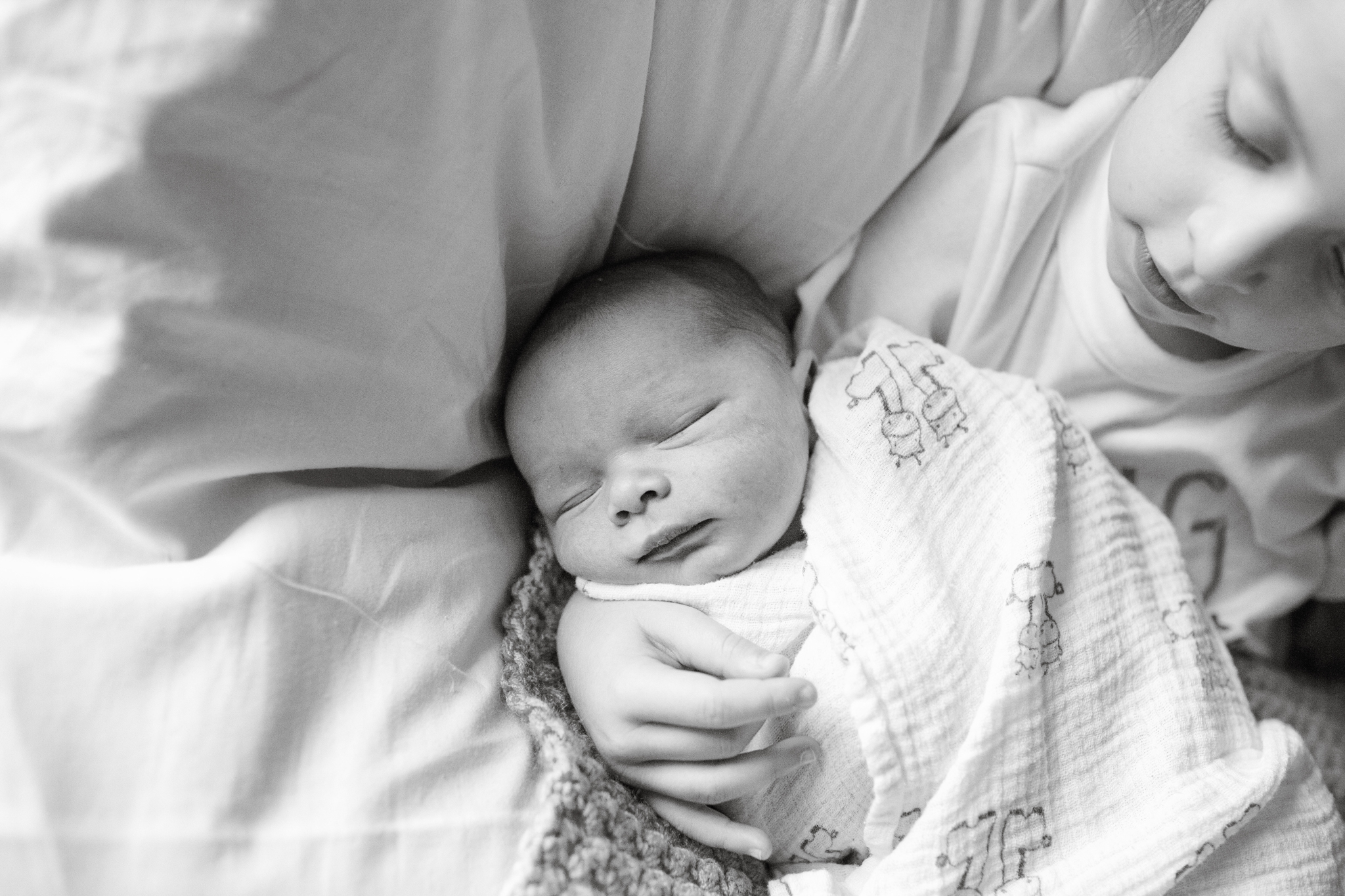 maine-newborn-photographer-fresh48-stepheneycollinsphotography-1.jpg