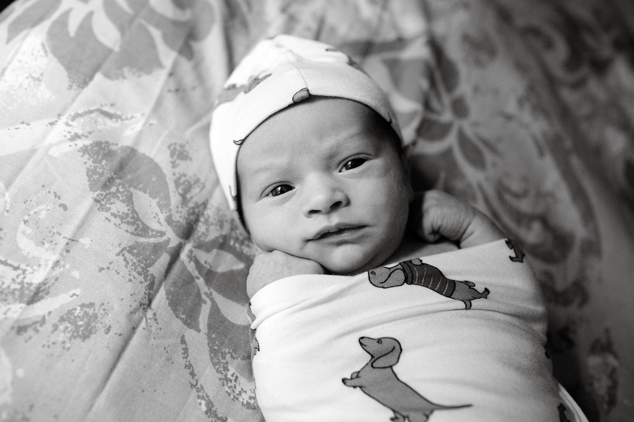 maine-newborn-photographer-stepheneycollinsphotography-13.jpg