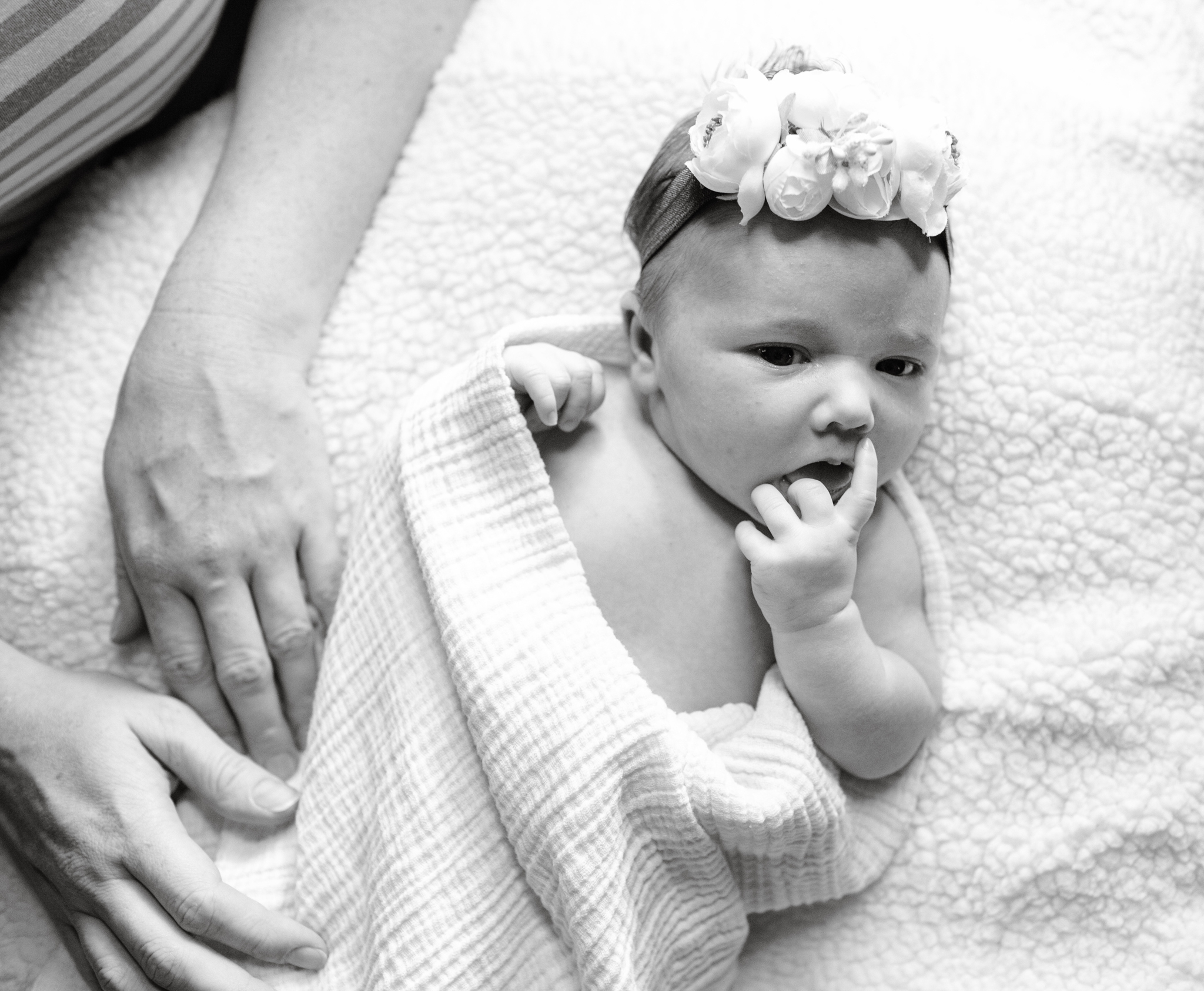 maine-newborn-family-photographer-stepheneycollinsphotography -22.jpg