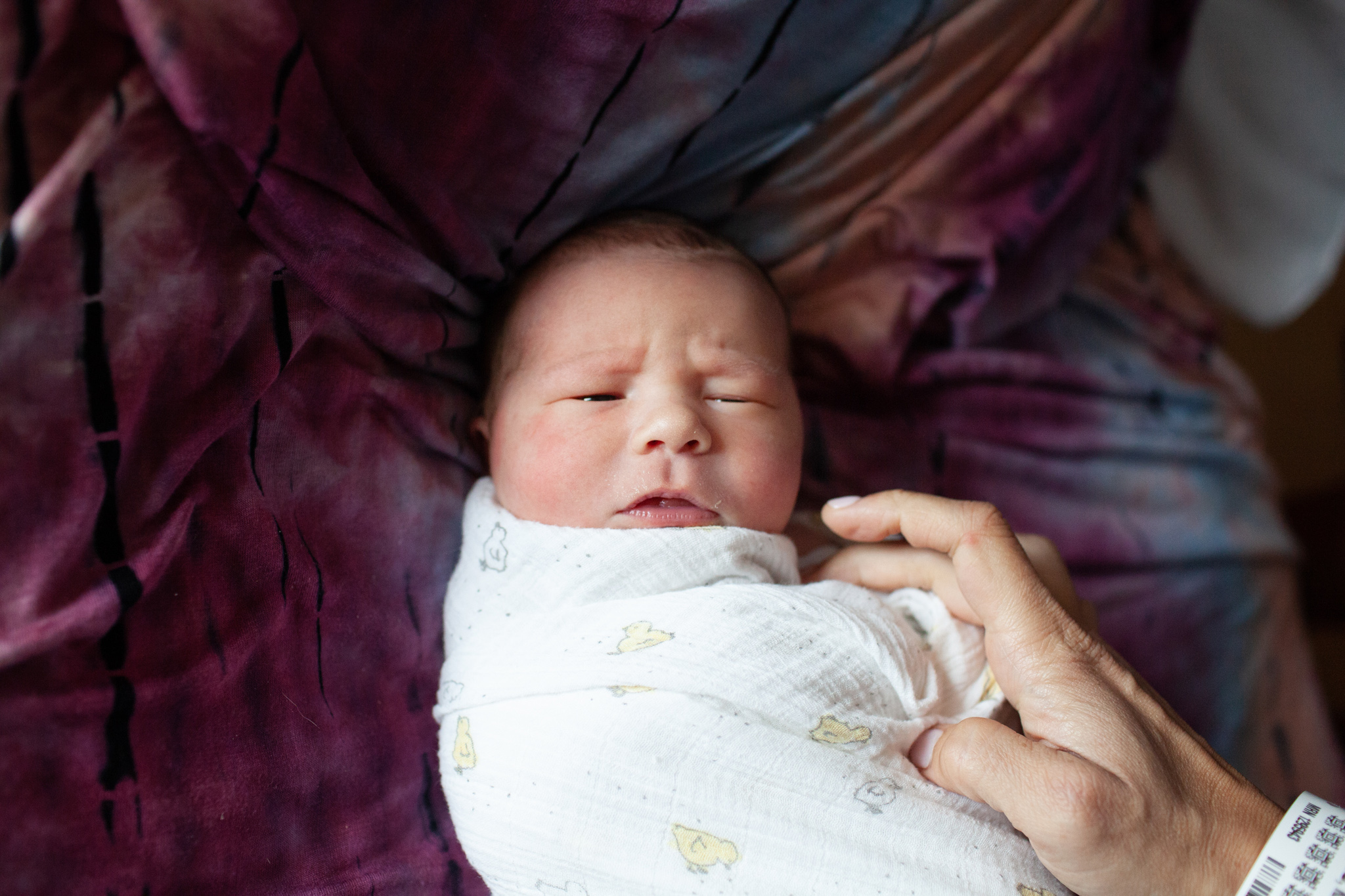 maine-newborn-photographer-fresh48-stepheney-collins-photography -38.jpg