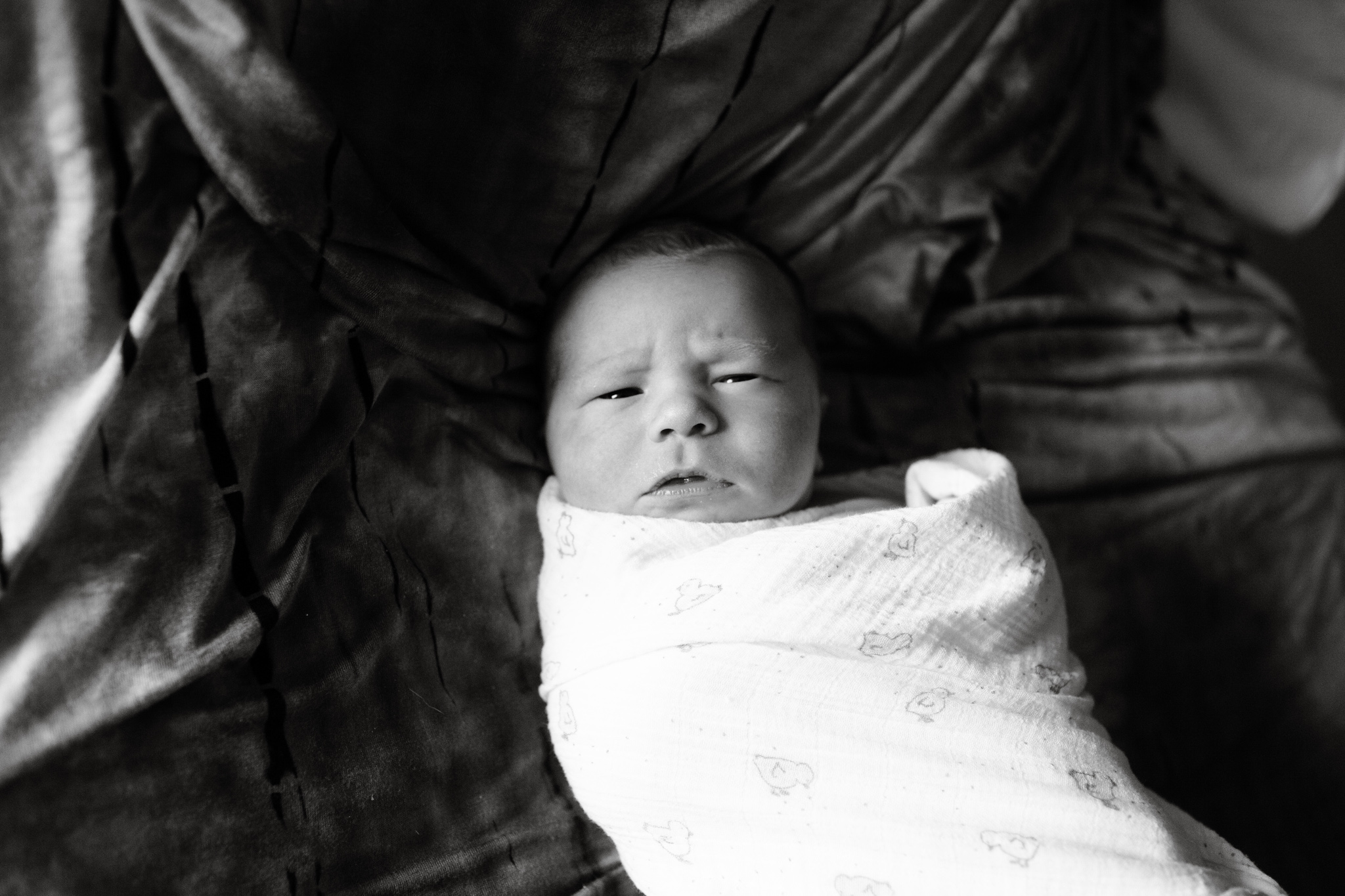 maine-newborn-photographer-fresh48-stepheney-collins-photography -40.jpg