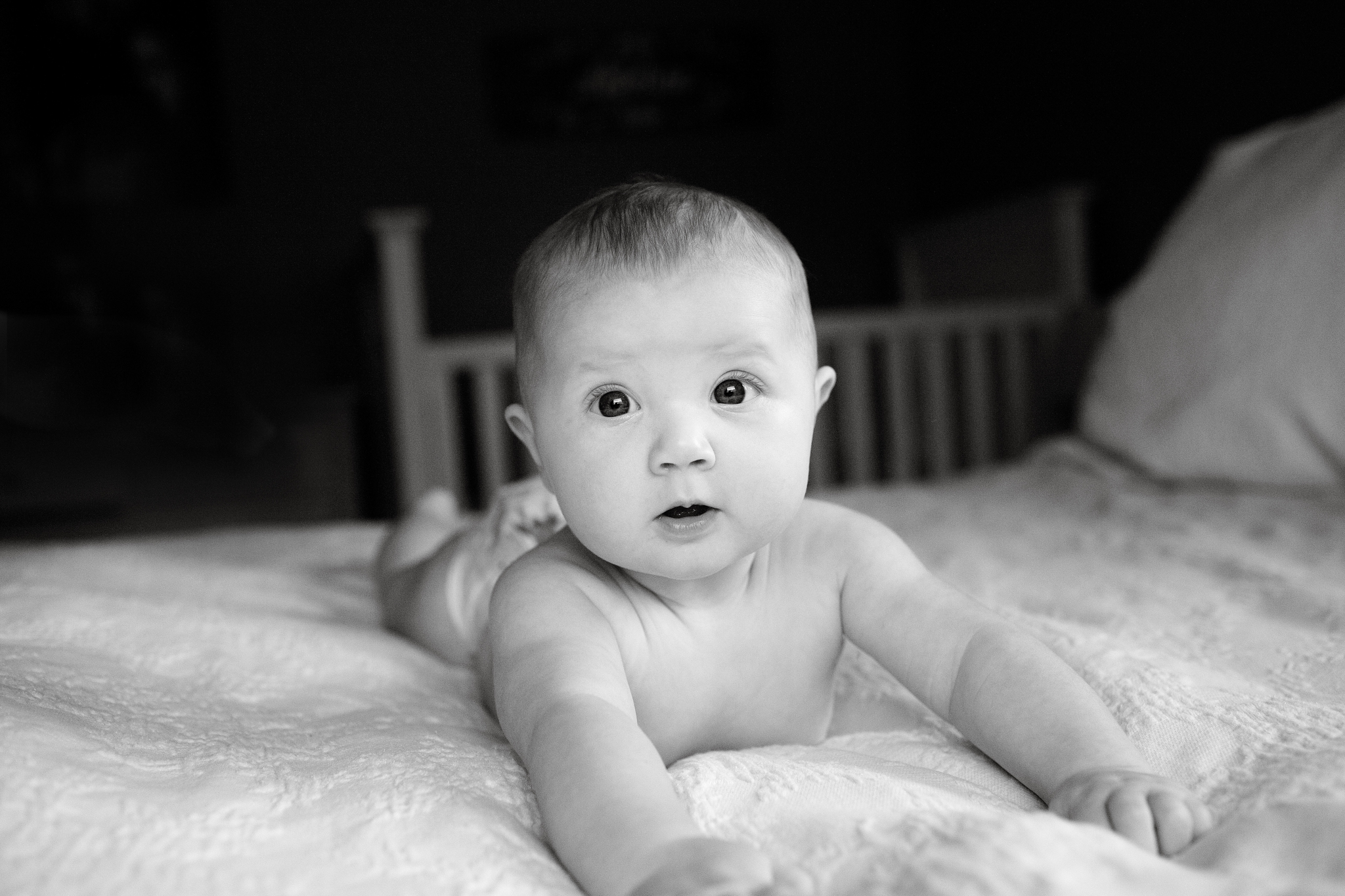 maine-baby-milestone-photographer-stepheney-collins-photography -22.jpg