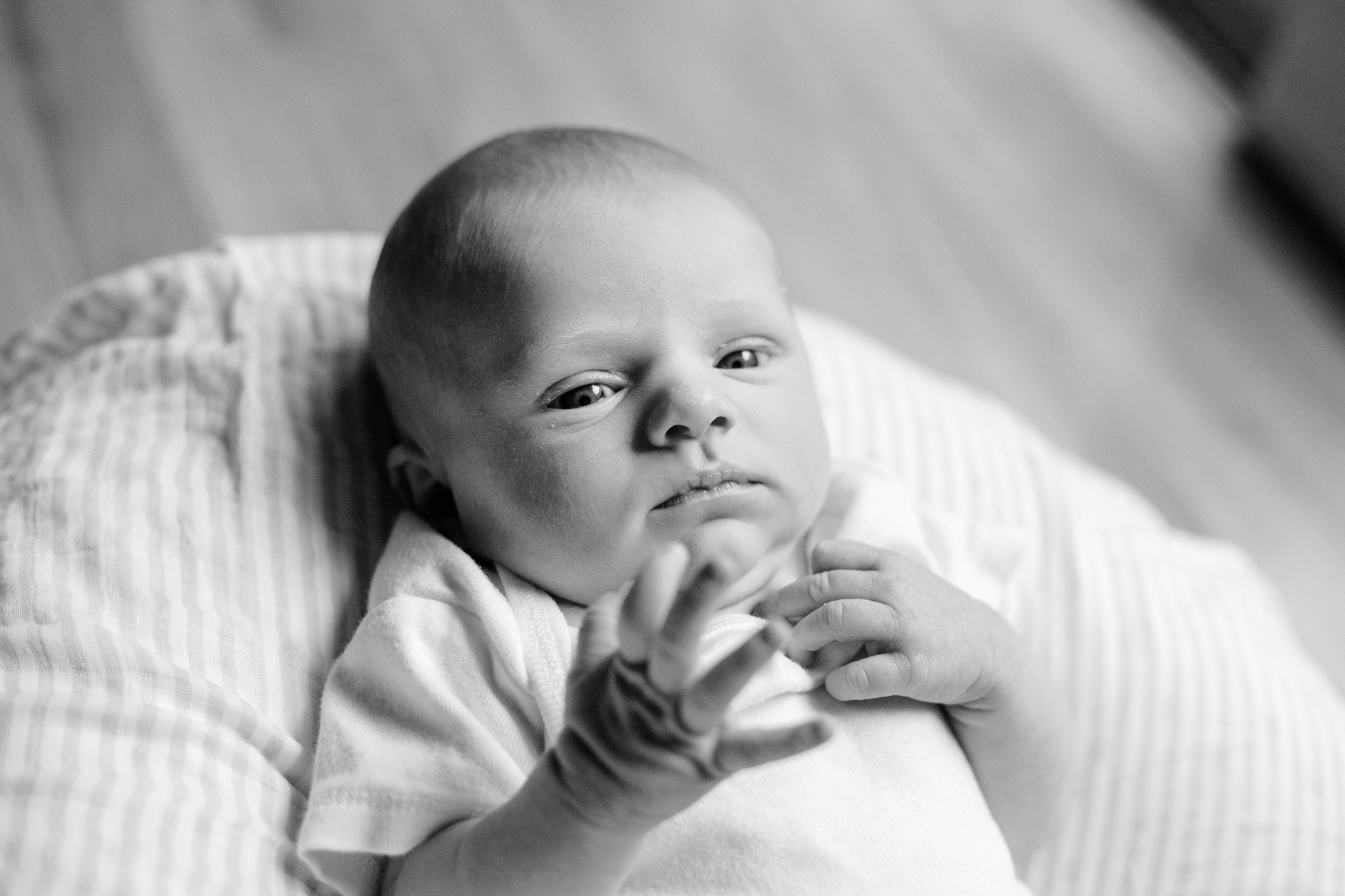 maine-newborn-photographer-50.jpg