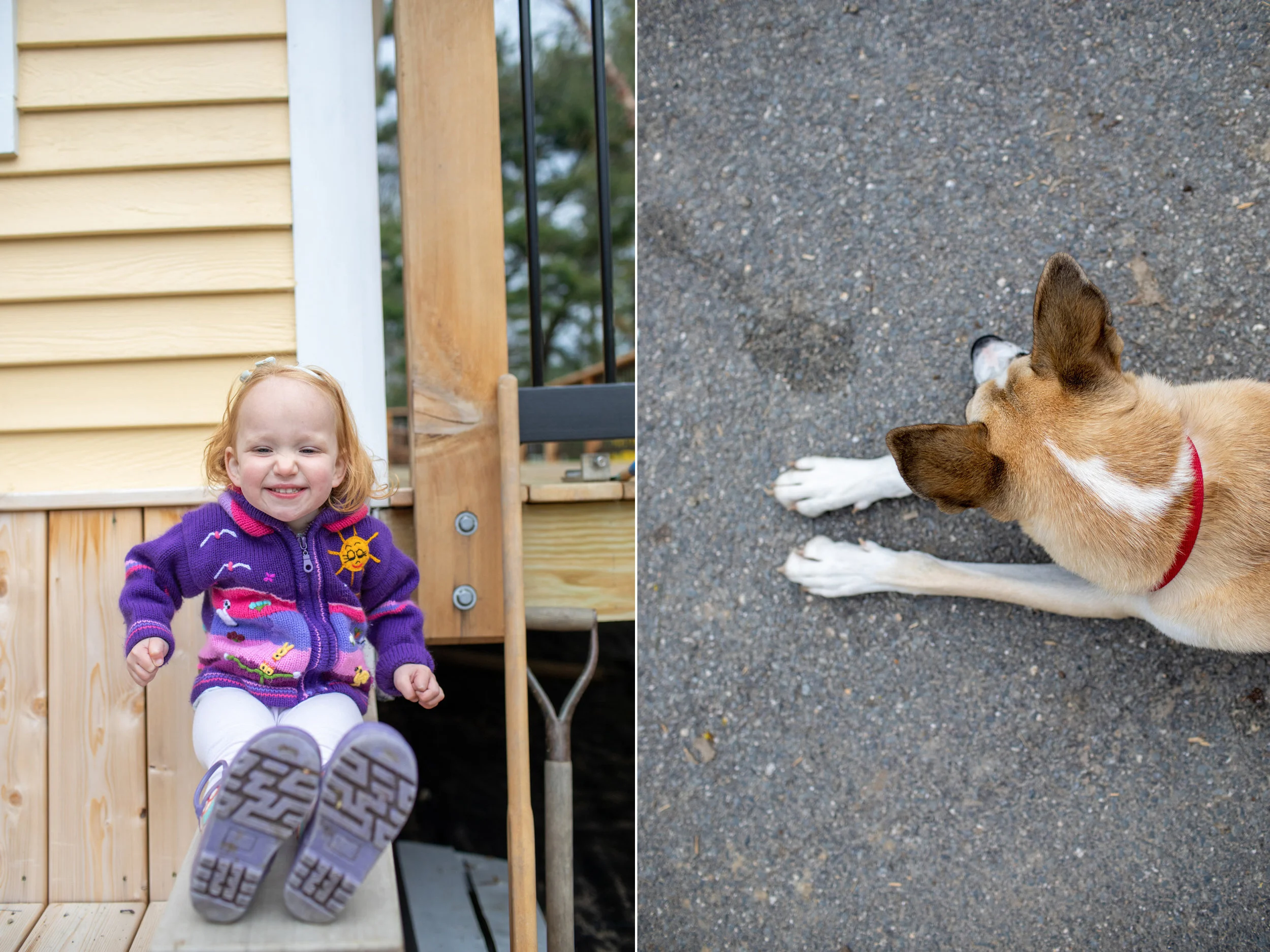 maine-family-photographer-stepheney-collins-1f.jpg
