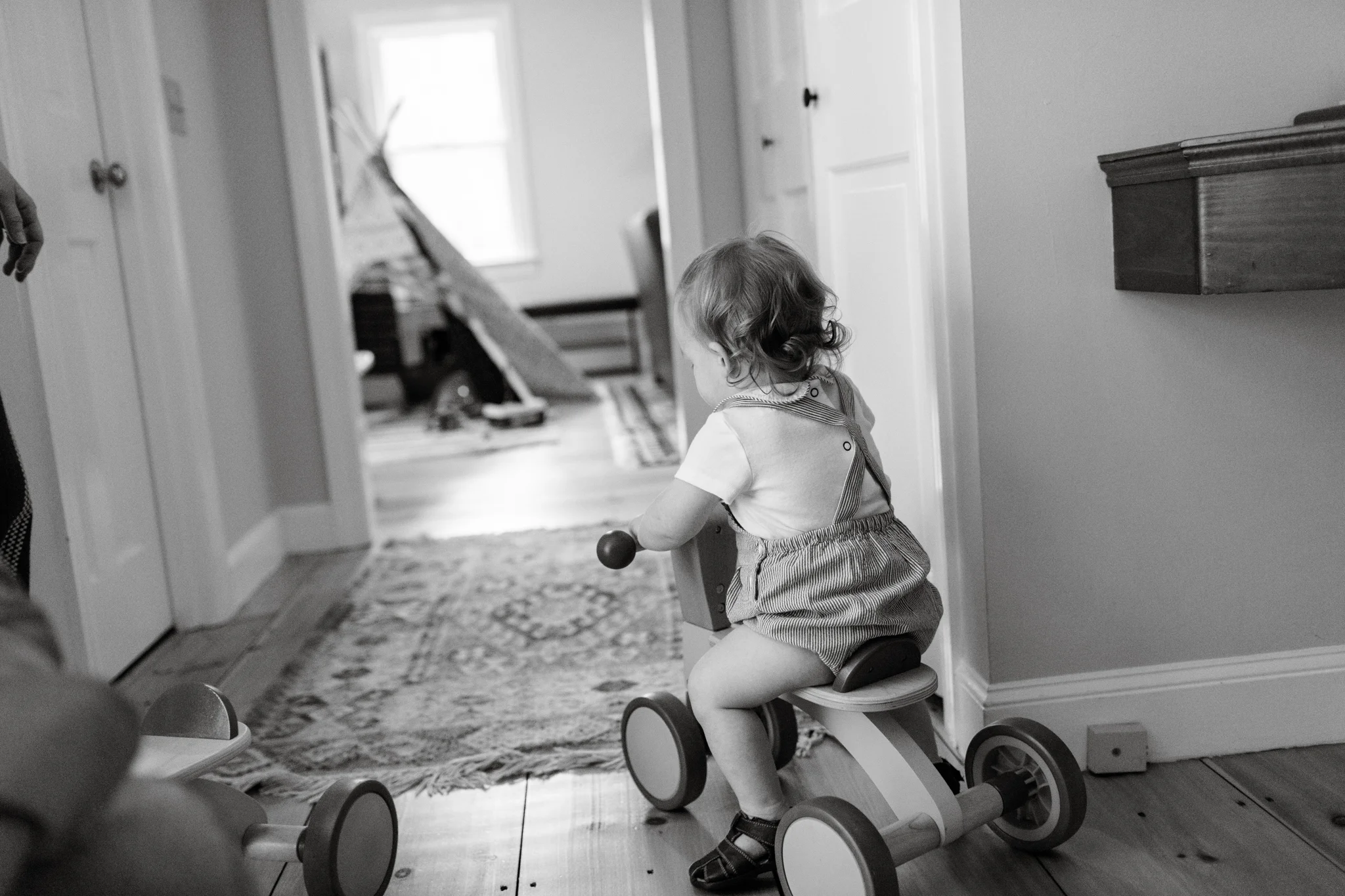 maine-family-photographer-stepheney-collins -1.jpg