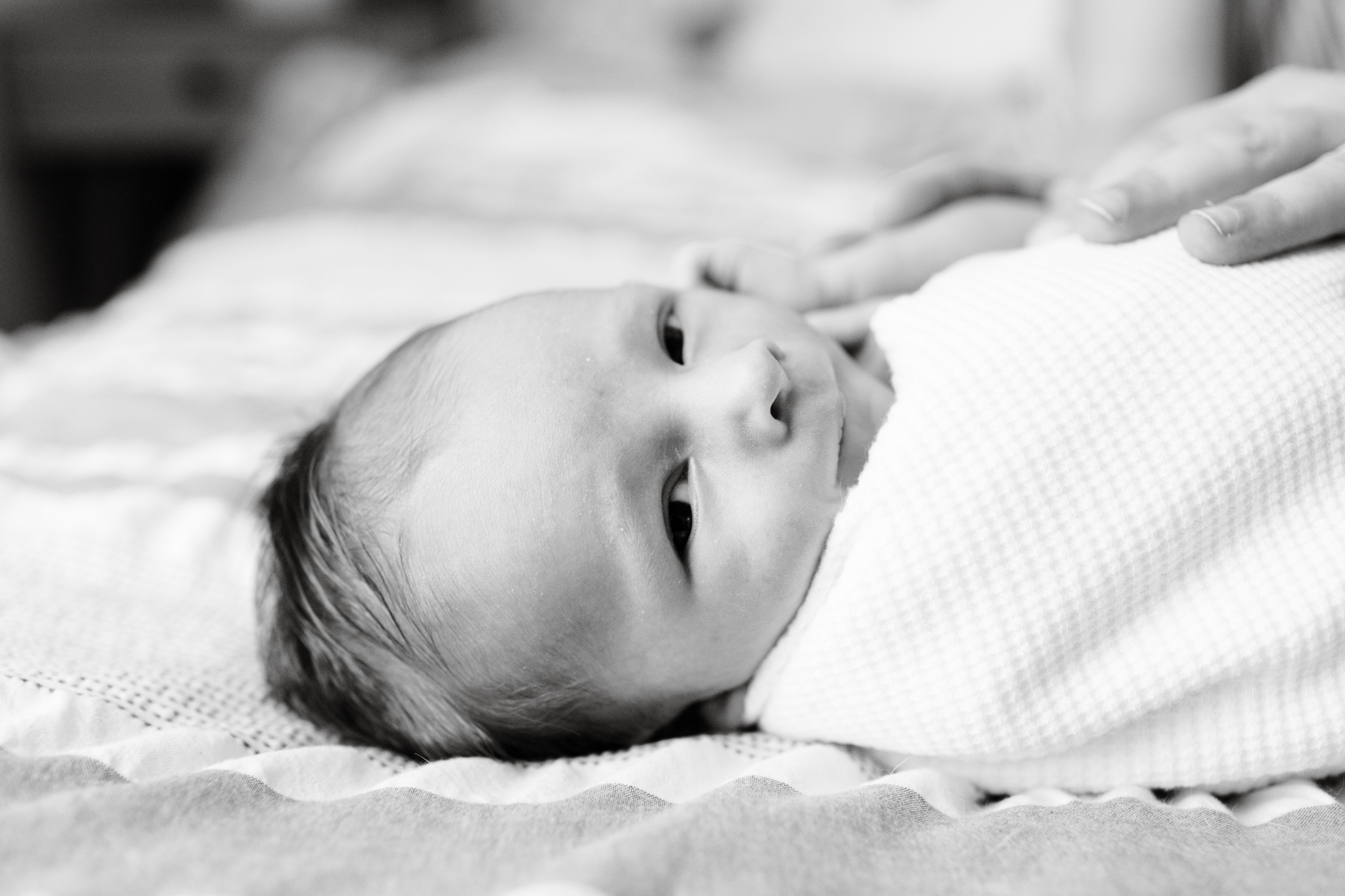 maine-newborn-photographer-lifestyle -40.jpg