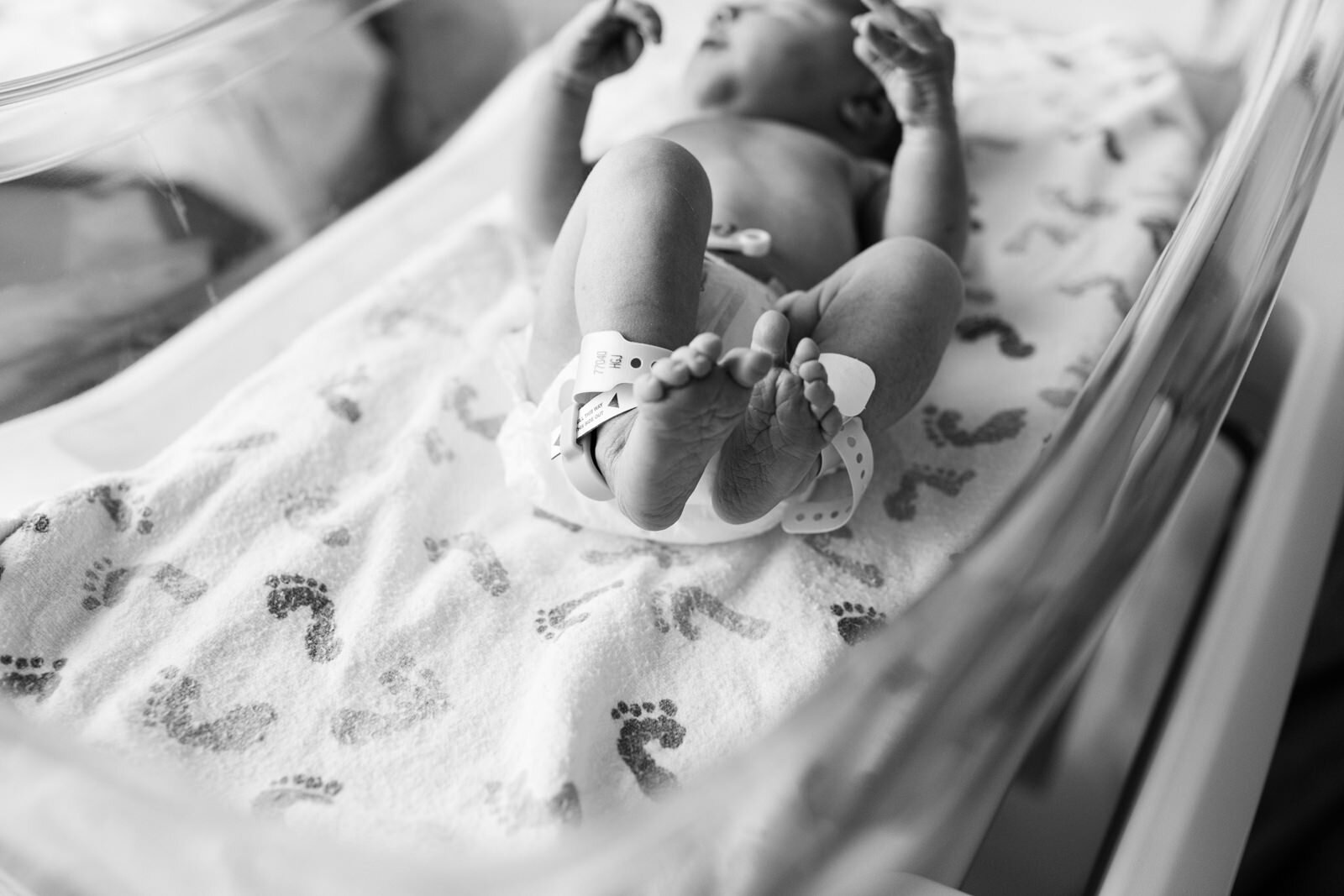 maine-fresh-48-newborn-photographer-stepheney-collins-007-23.jpg