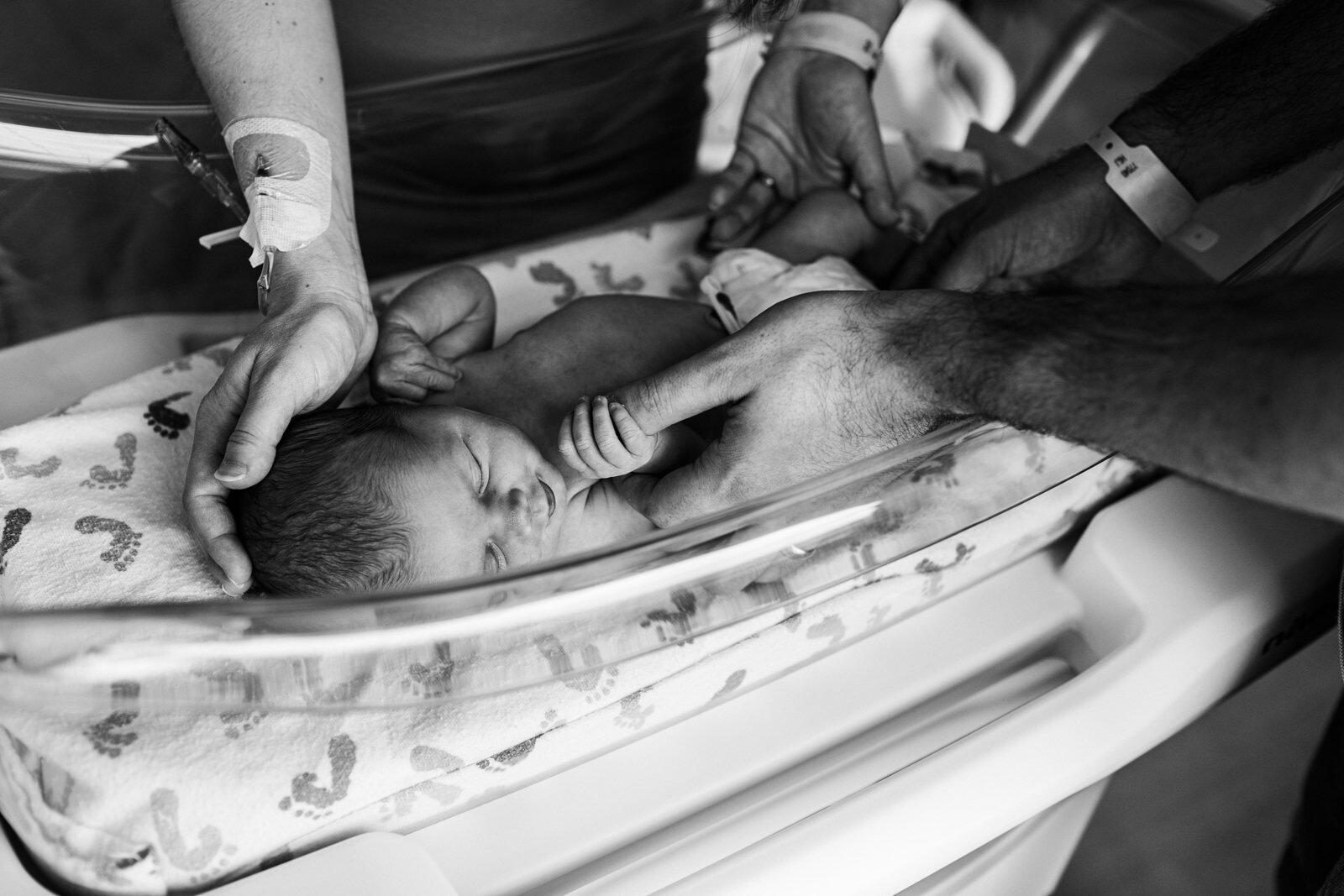 maine-fresh-48-newborn-photographer-stepheney-collins-007-35.jpg