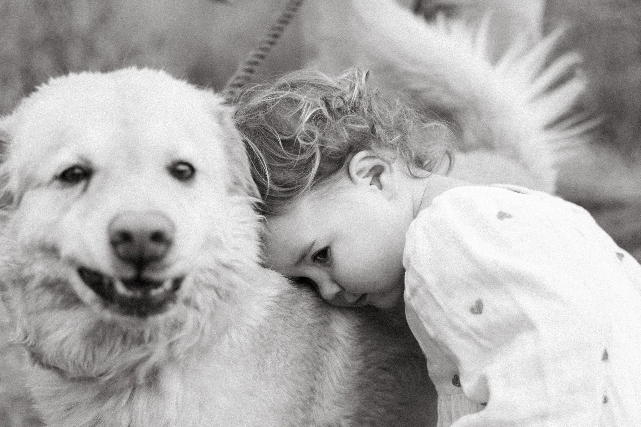 maine_family_photographer_32.JPG