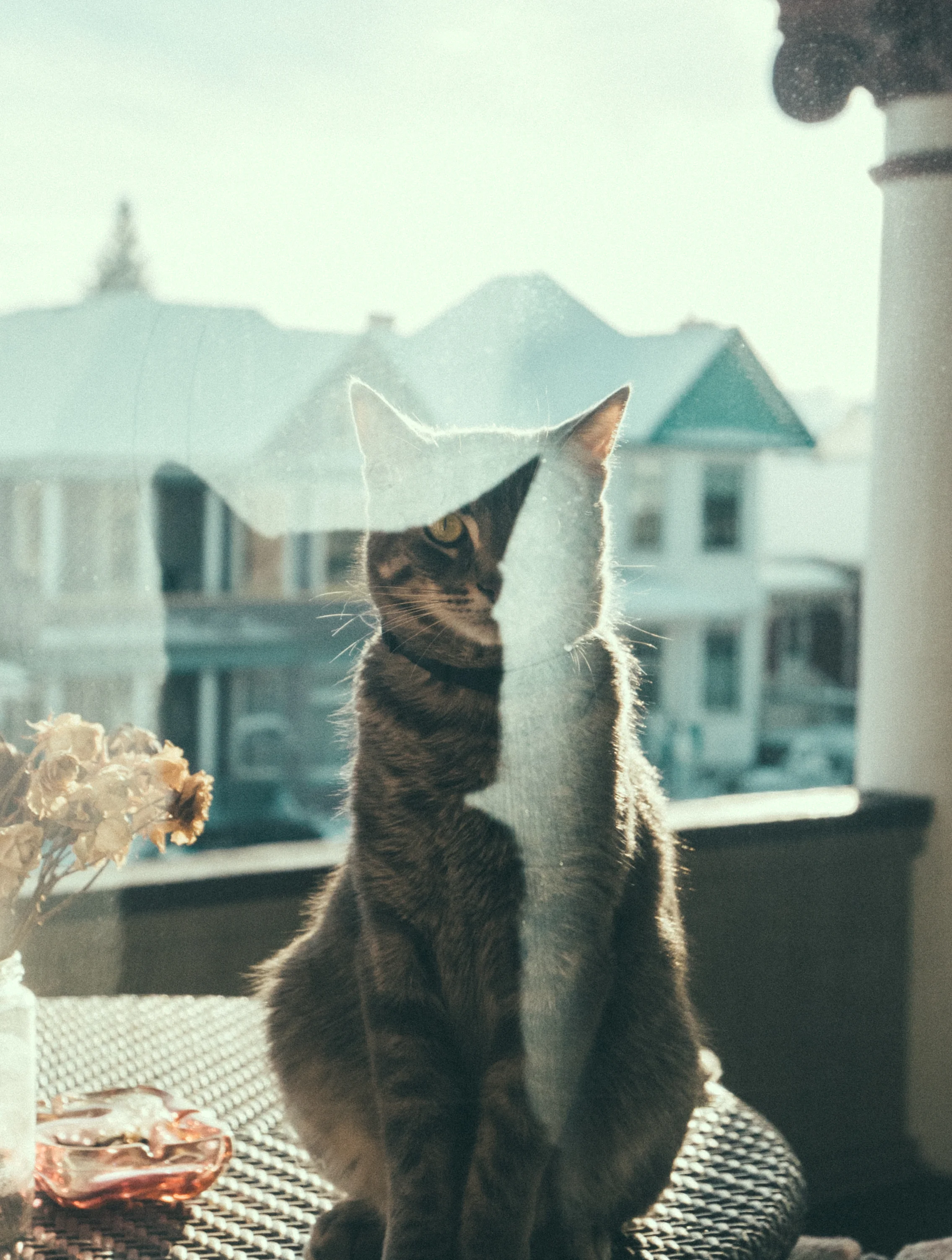 Both taken between Jan/Feb 2018