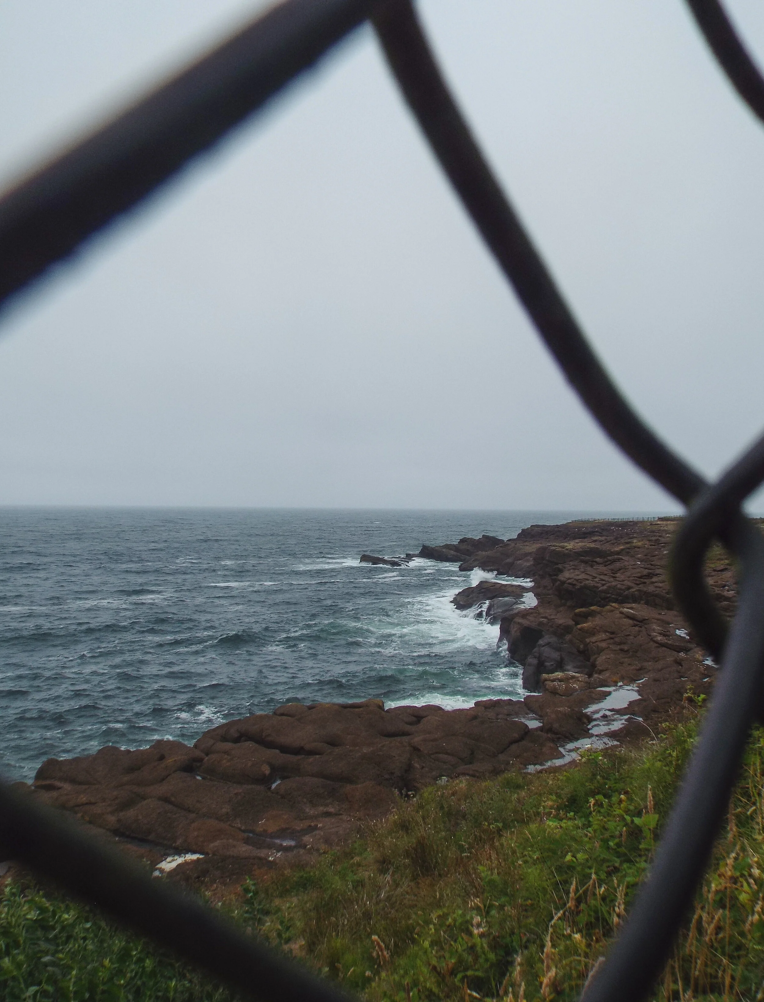 DSCF1216.jpg