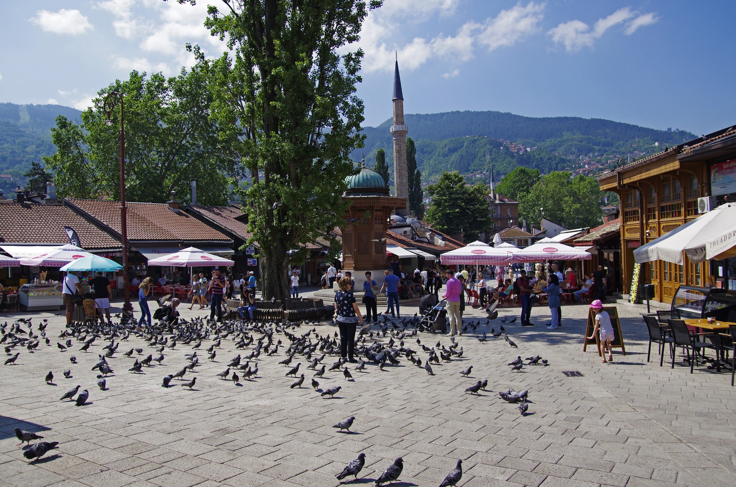 Upscaling Bosnia Trust!
