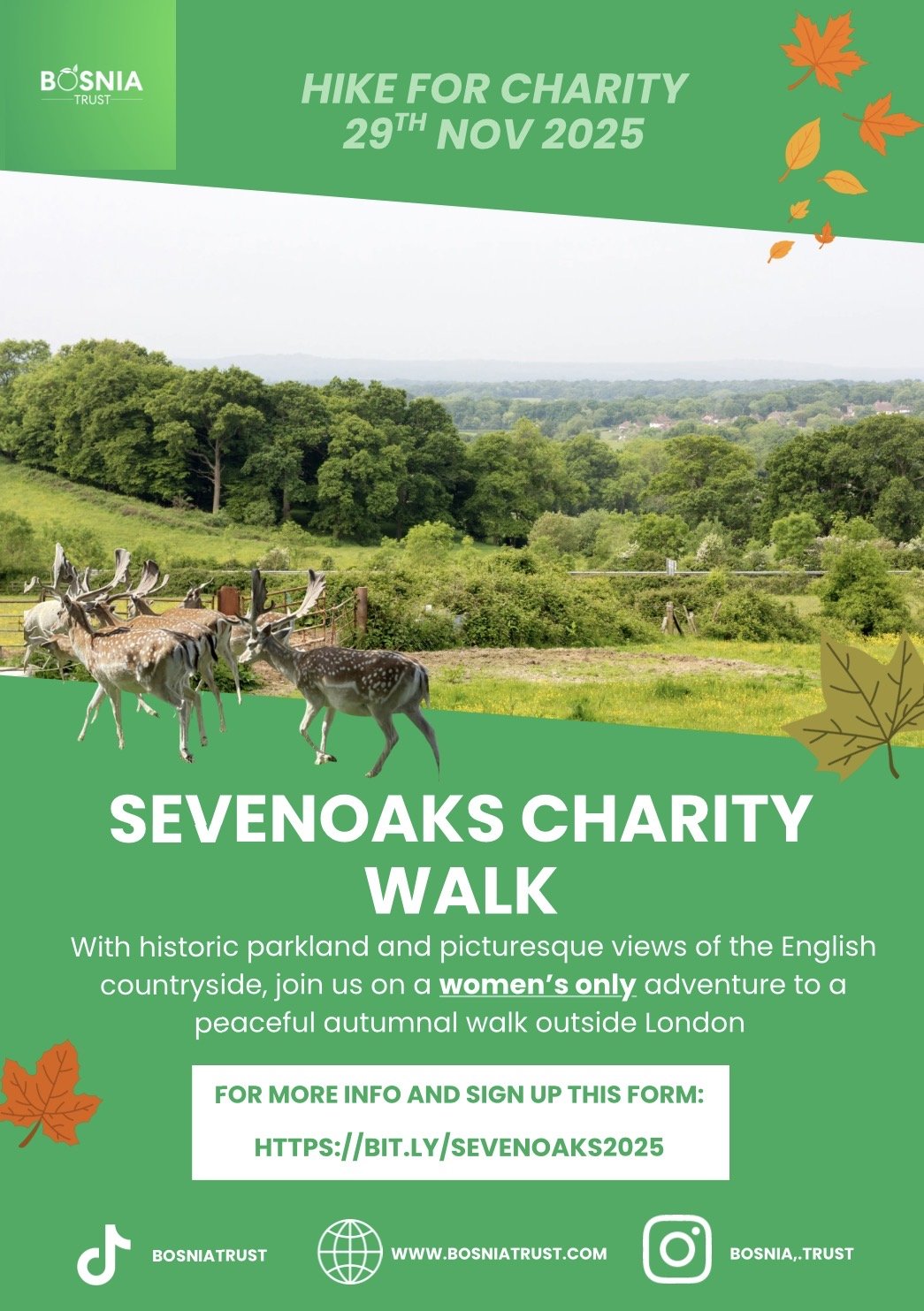 Sevenoaks Charity Walk