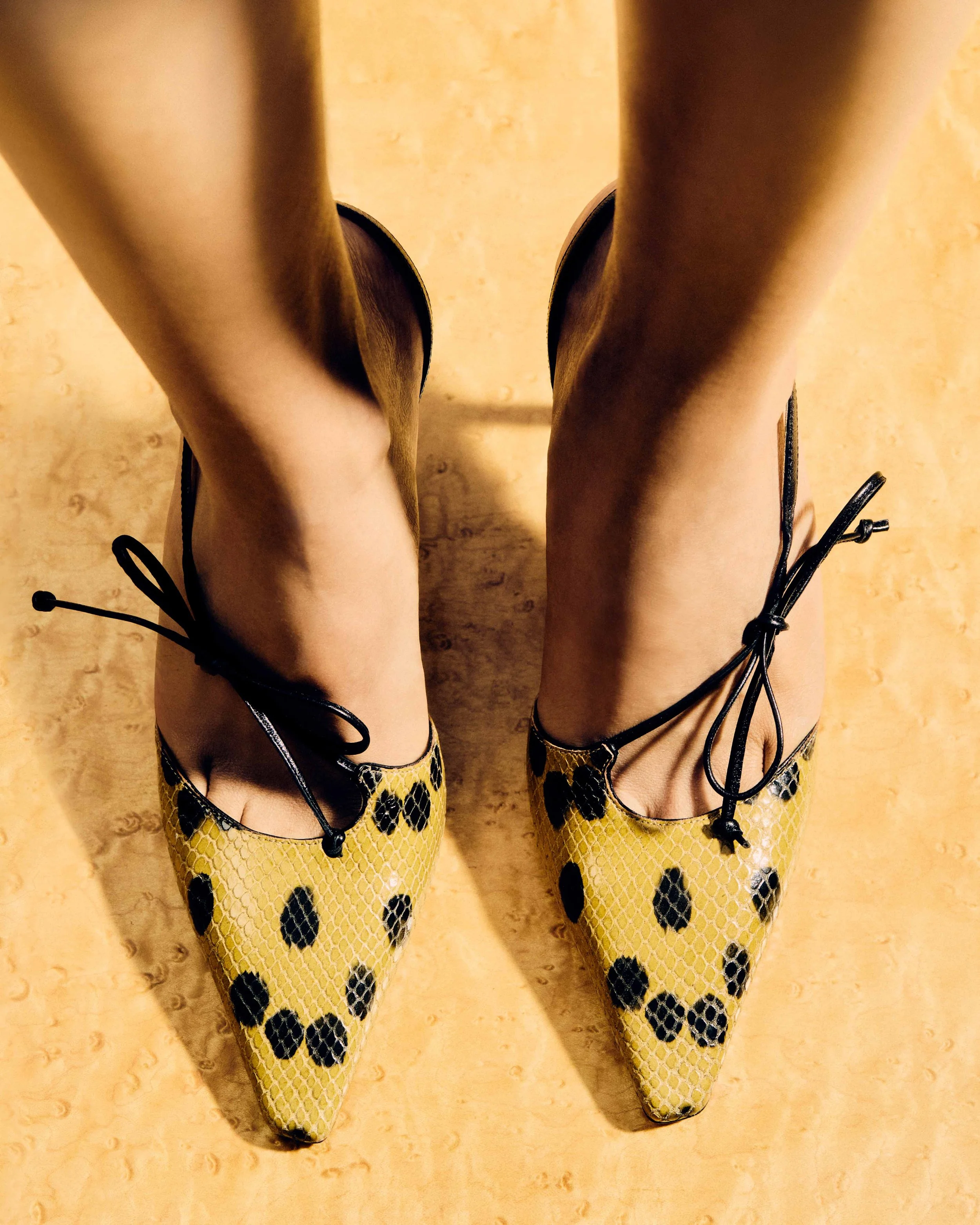 ARCHIVE 25_THE BOW 2000_C_4x5.jpg