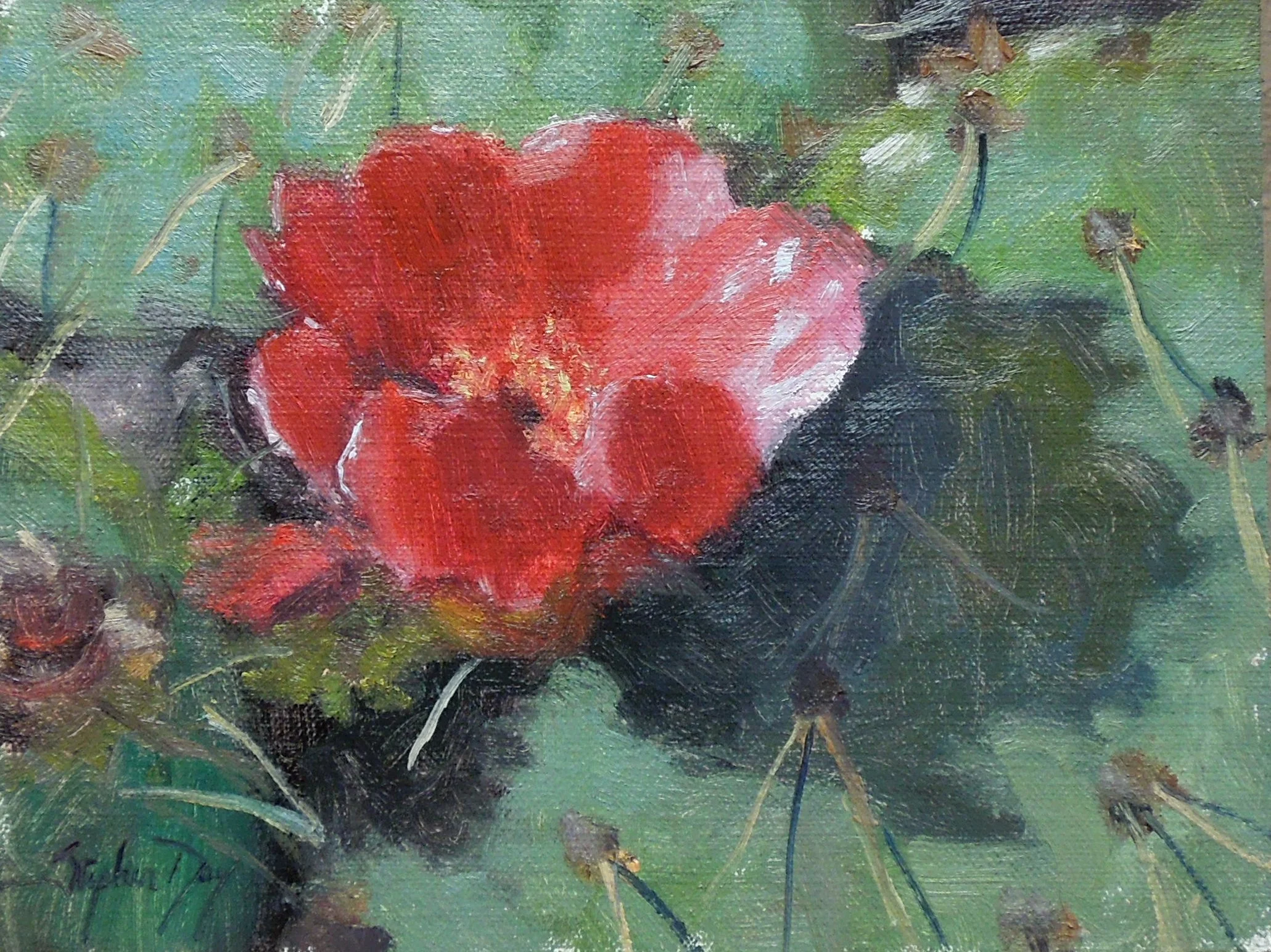 Cactus Flower