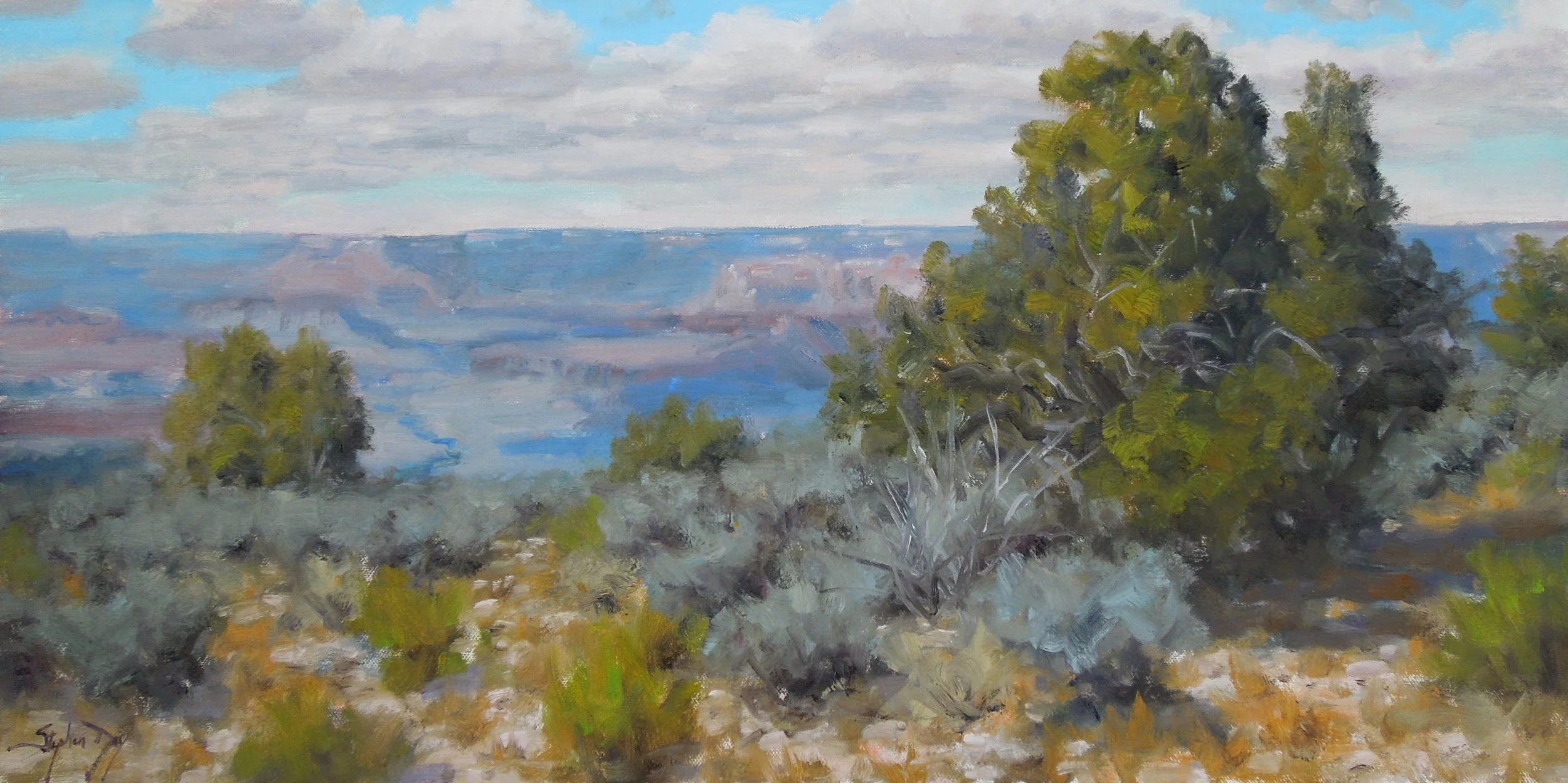 Canyon Rim Vista