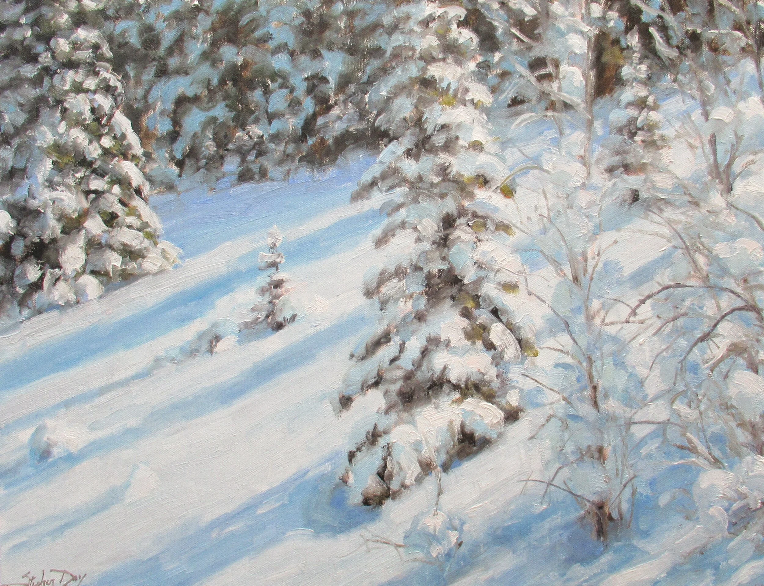 Colorado Snow    16 X 20