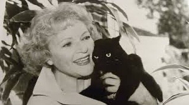 Happy birthday Betty. #bettywhitechallenge day is today. In her honor, donate today to your local animal shelter or animal rights charity. 

#donate #animalsarefamily #loveallanimals #bettywhite #animalsneedlove #allthecats
