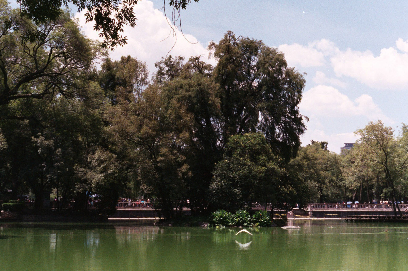 Stephanie-Severance-CDMX-3.jpg