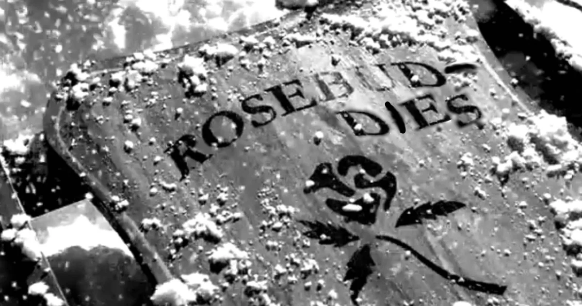 Rosebuddies_2.jpg