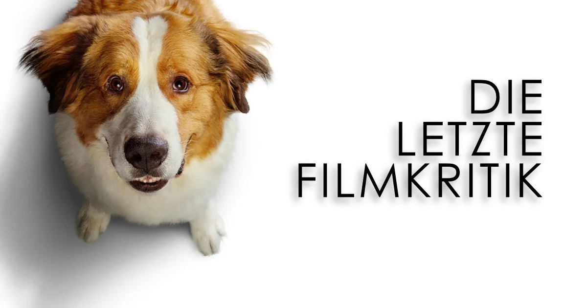 Originalbild: A Dog’s Journey / Universal Pictures (2019)