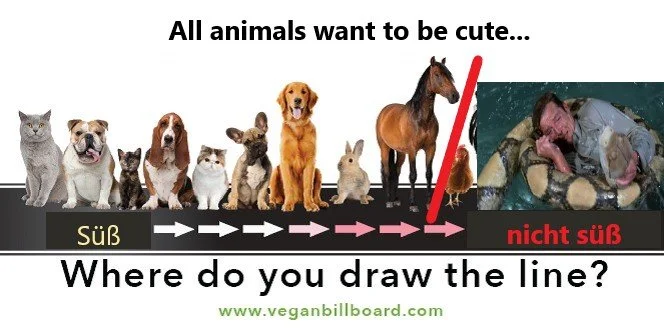 Eine Tierzuneigungsskale nach Alexander Voigts Geschmack - Abbildung zur Veranschaulichung von Veganbillboard.com als satirische Fotomontage in Das Letzte Wiki.